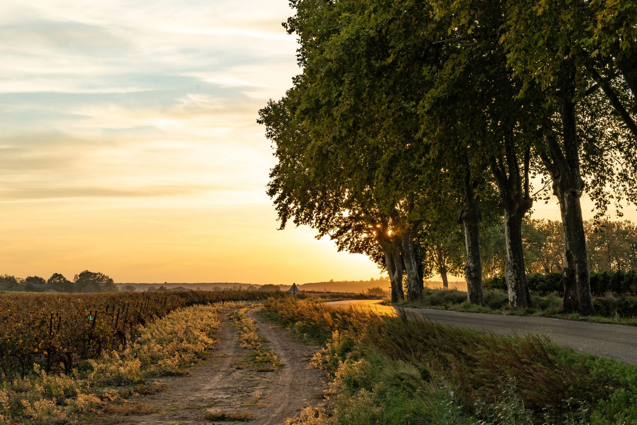 LANGUEDOC/FRANCE 2019