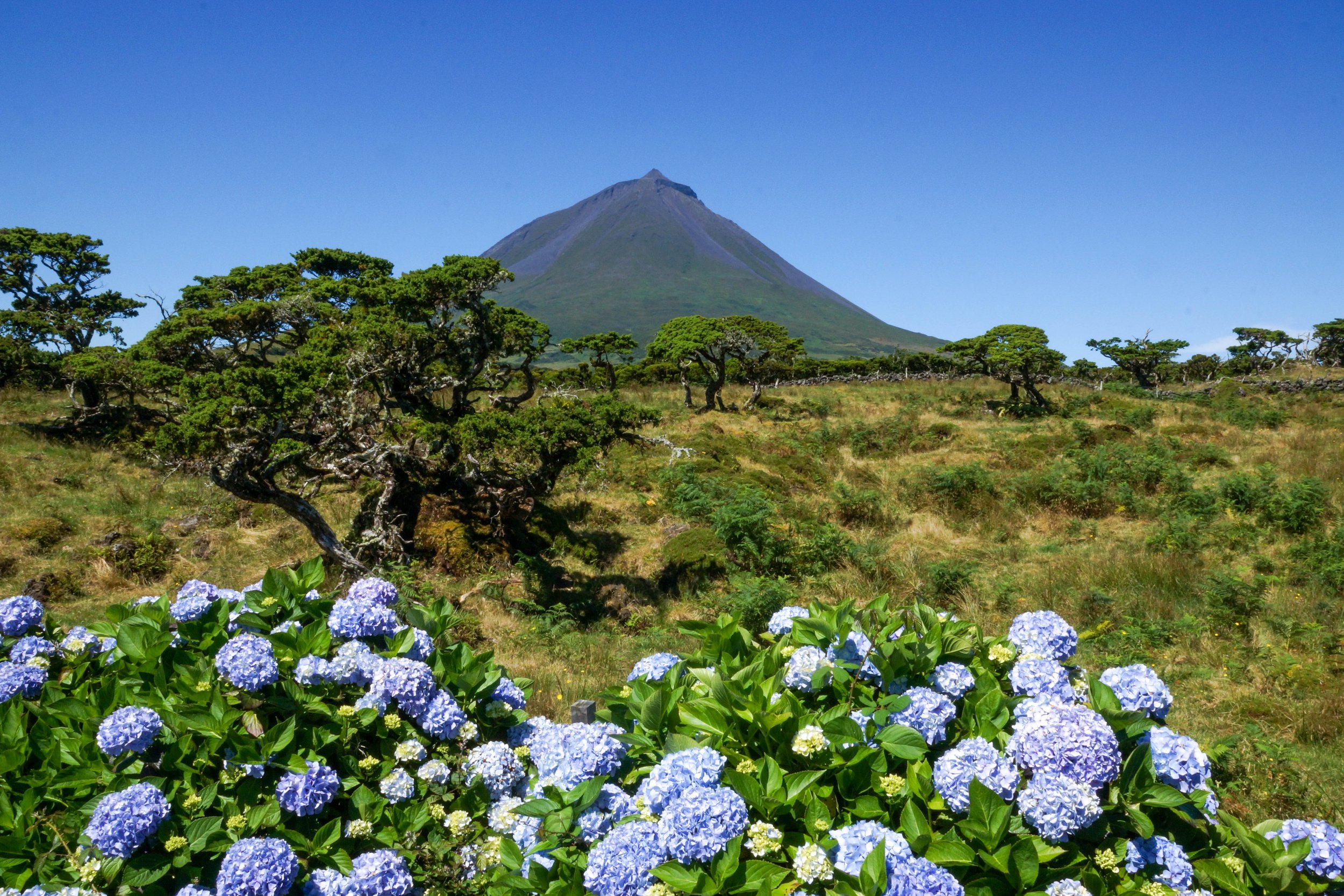 AZORES/PORTUGAL 2016