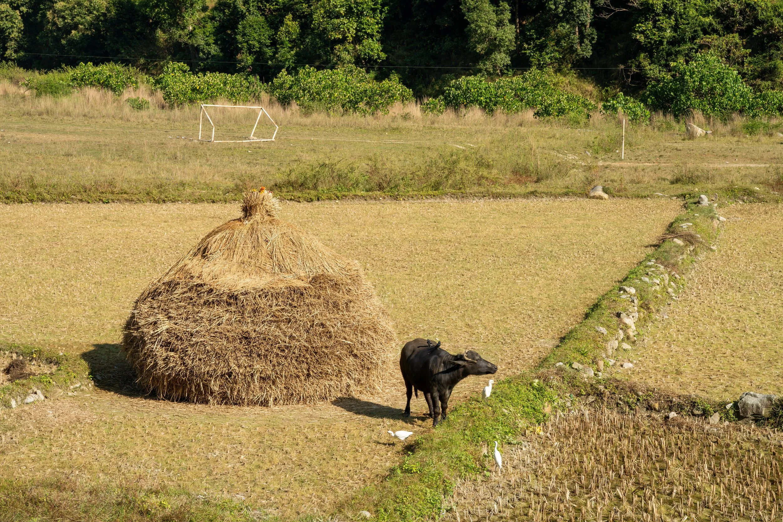 DSC08565.jpg