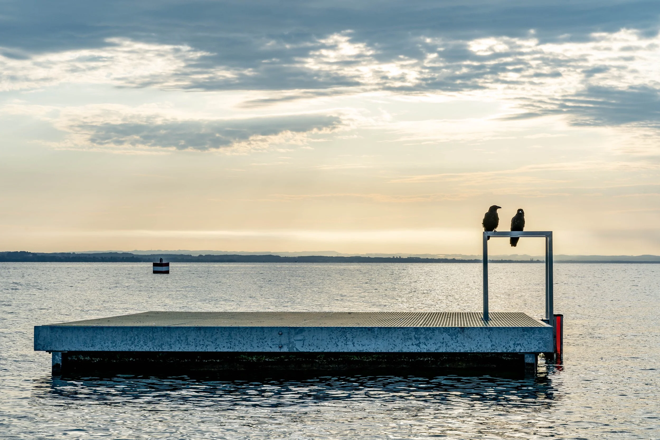 2019 Landscape colours-08-1.jpg