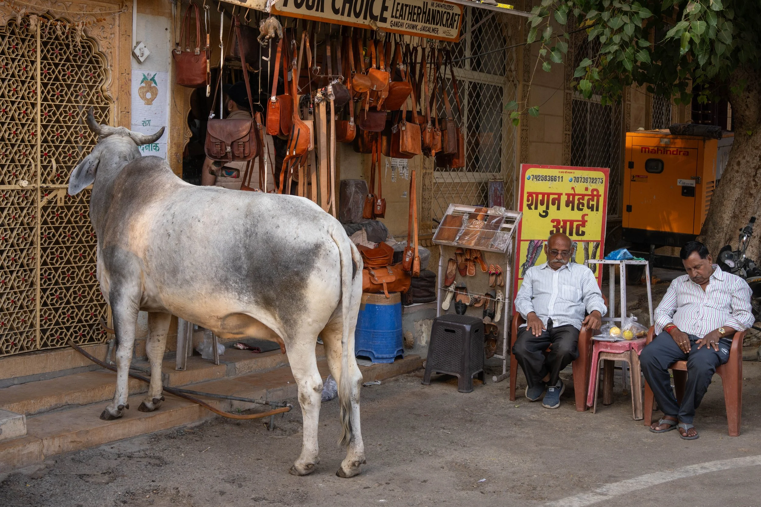 DSC00966 Kopie 2.jpg