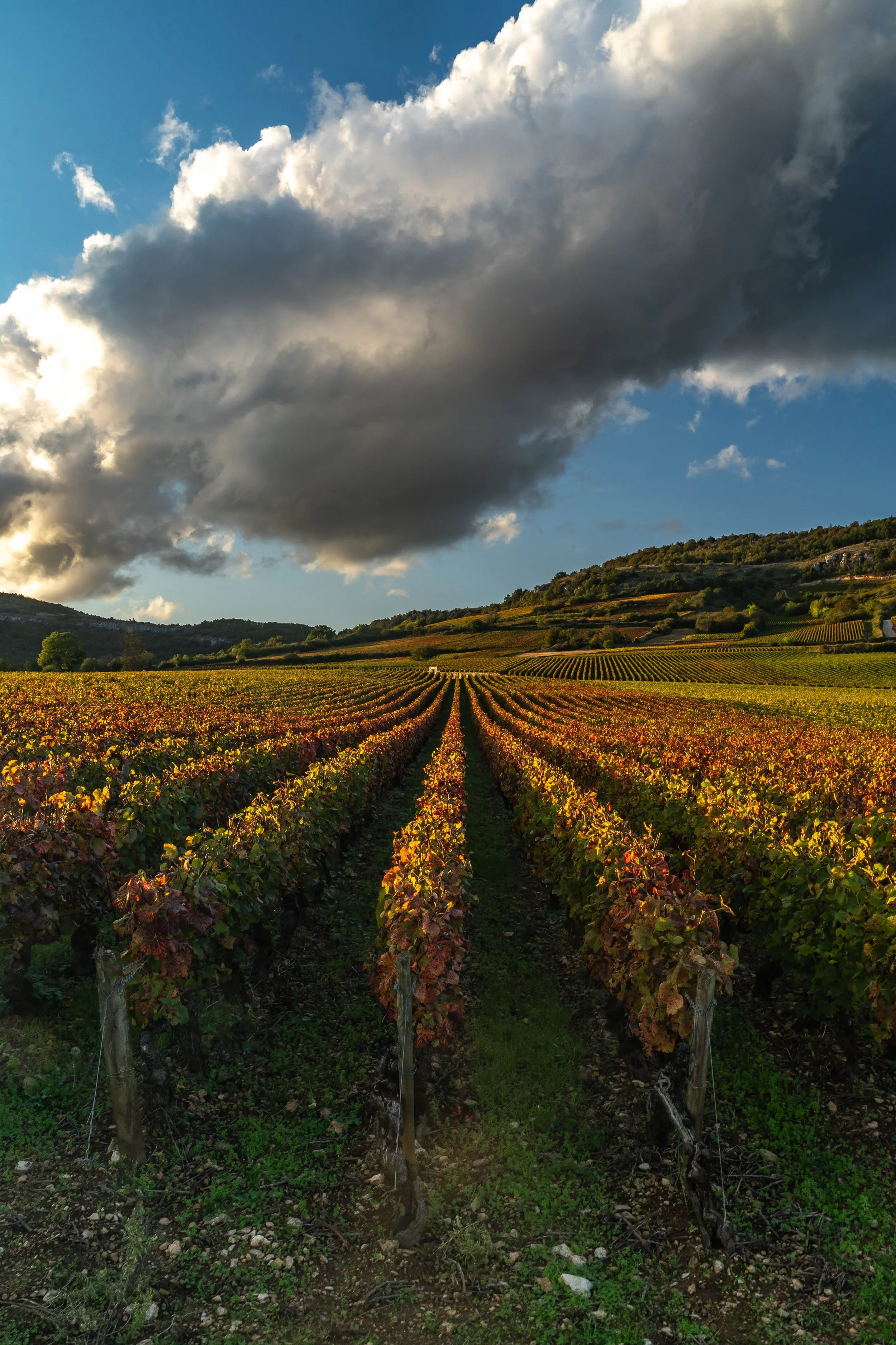 BOURGOGNE/FRANCE 2024