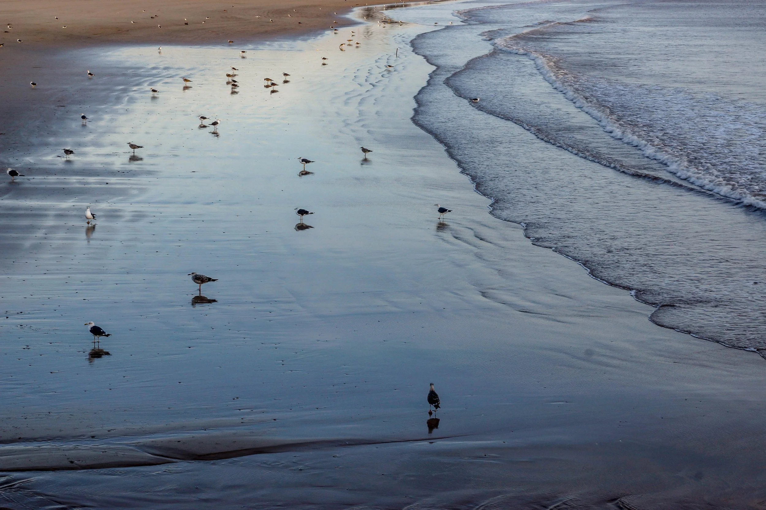 DSC01600 2 Kopie.jpg