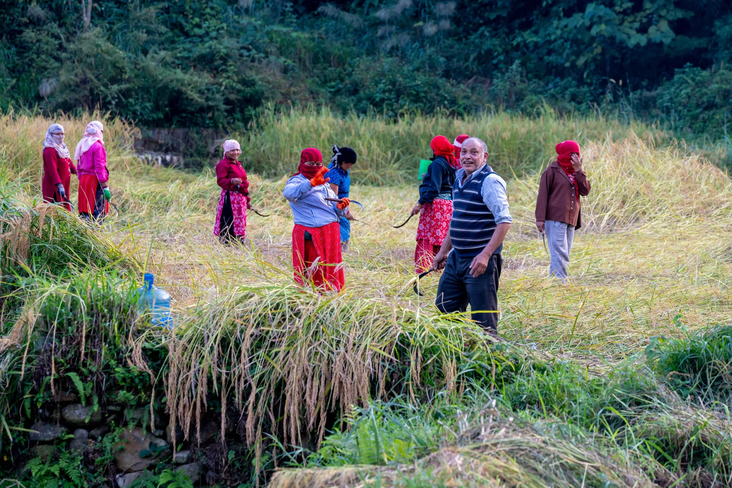 DSC08374 Kopie 2.jpg