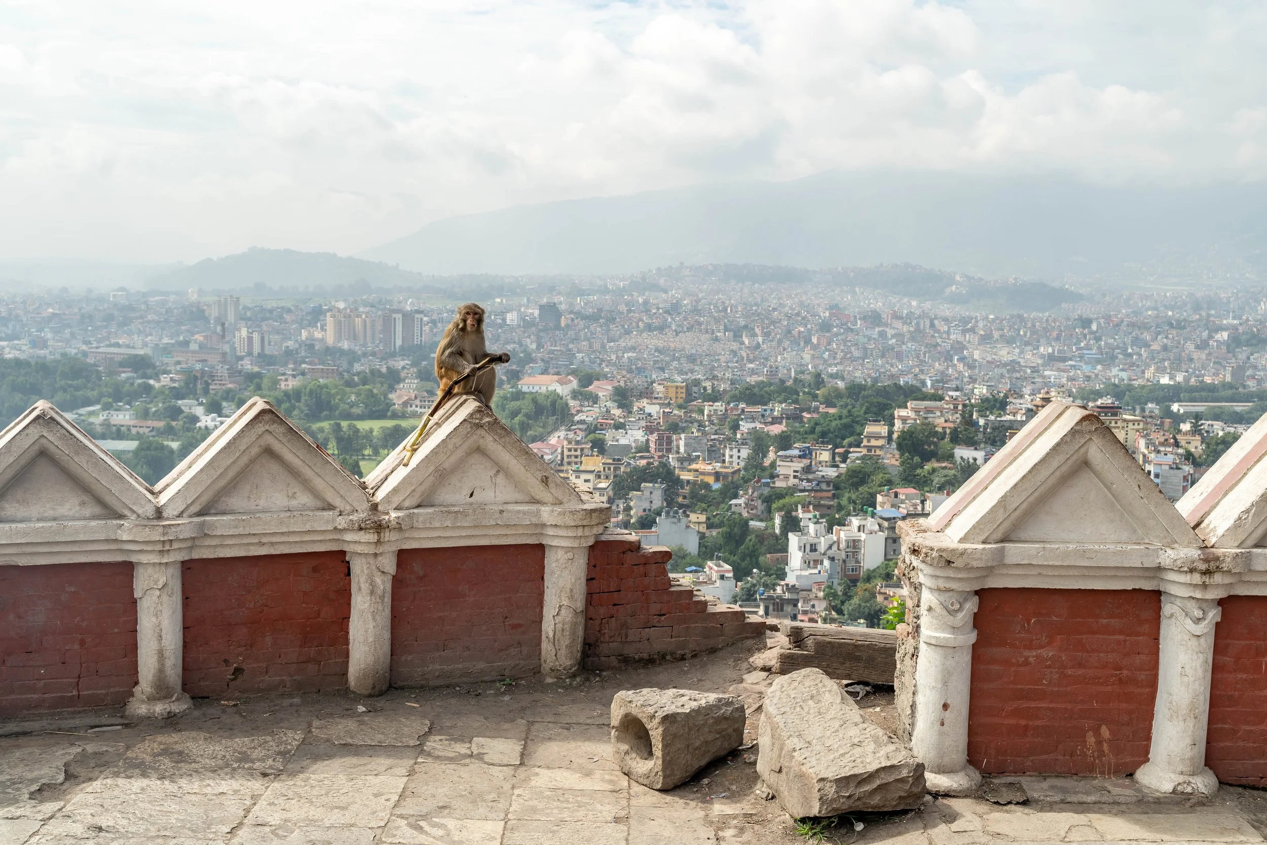 DSC07302-1.jpg