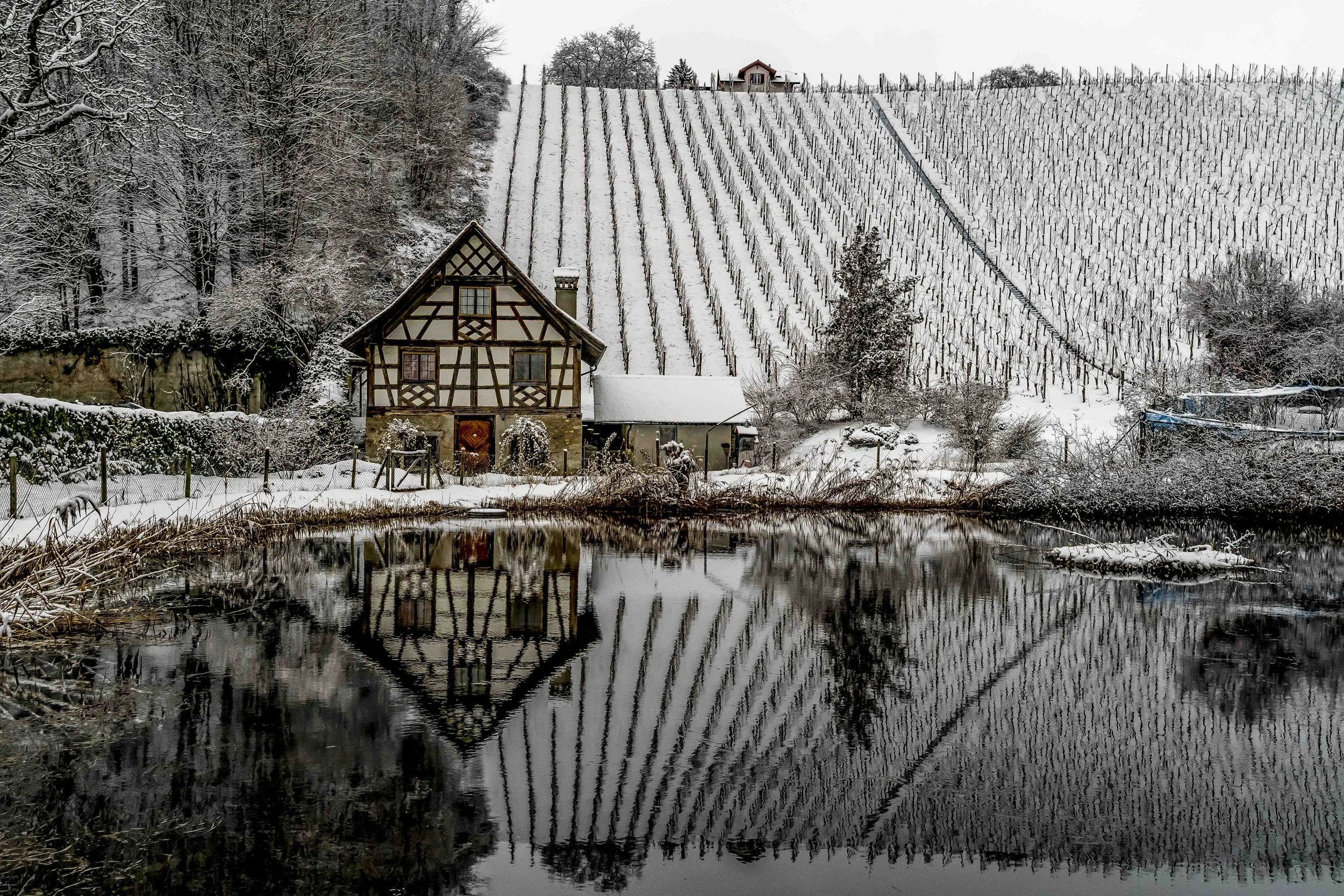 ITTINGEN WARTH TG 2022