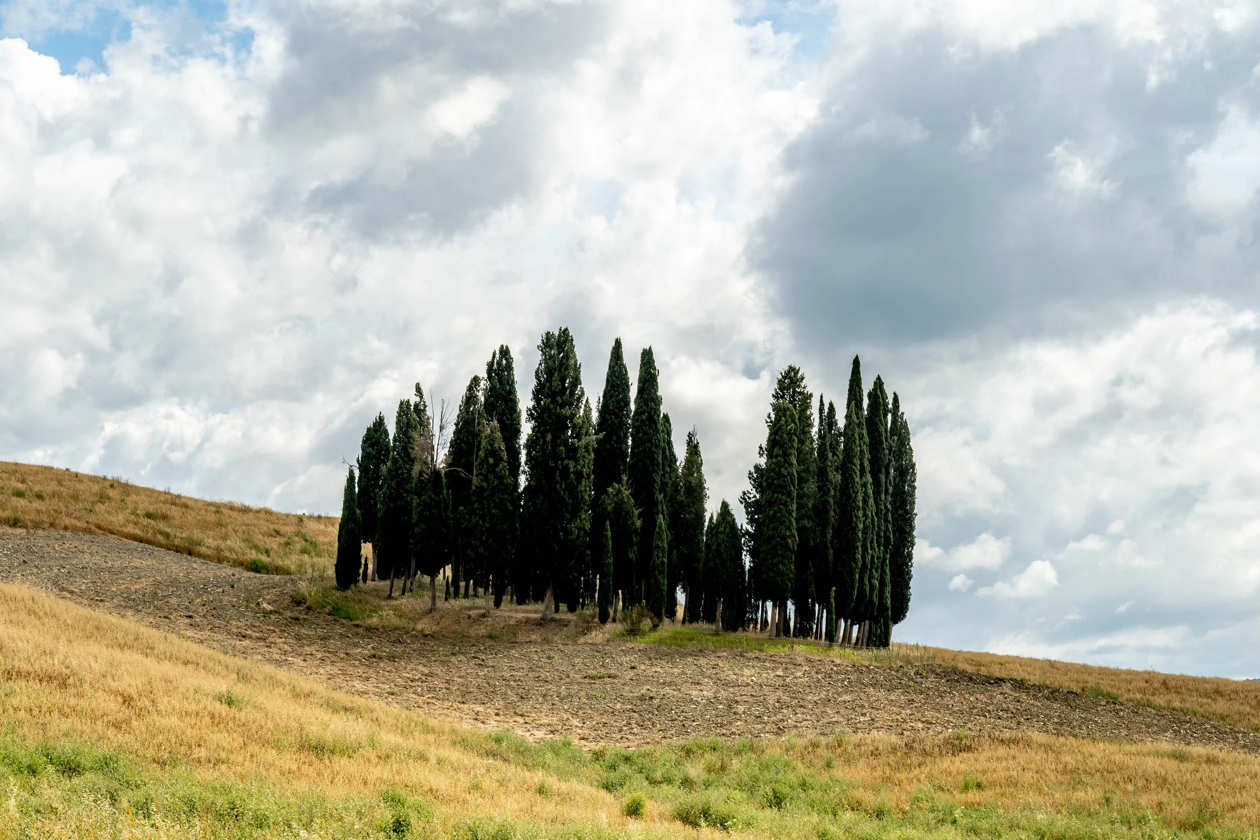 DSC01315-16 Kopie.jpg