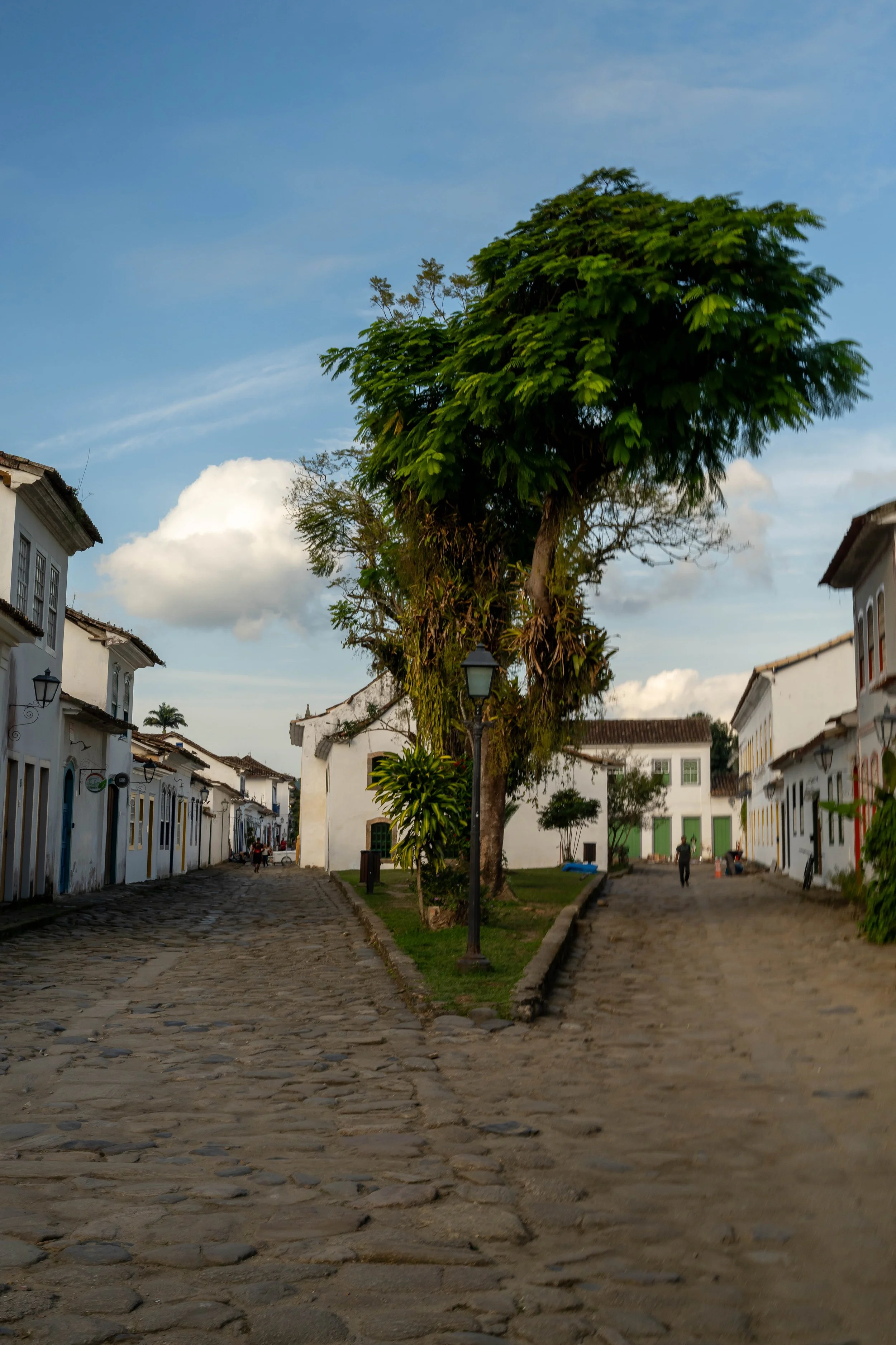 DSC04962-2.jpg