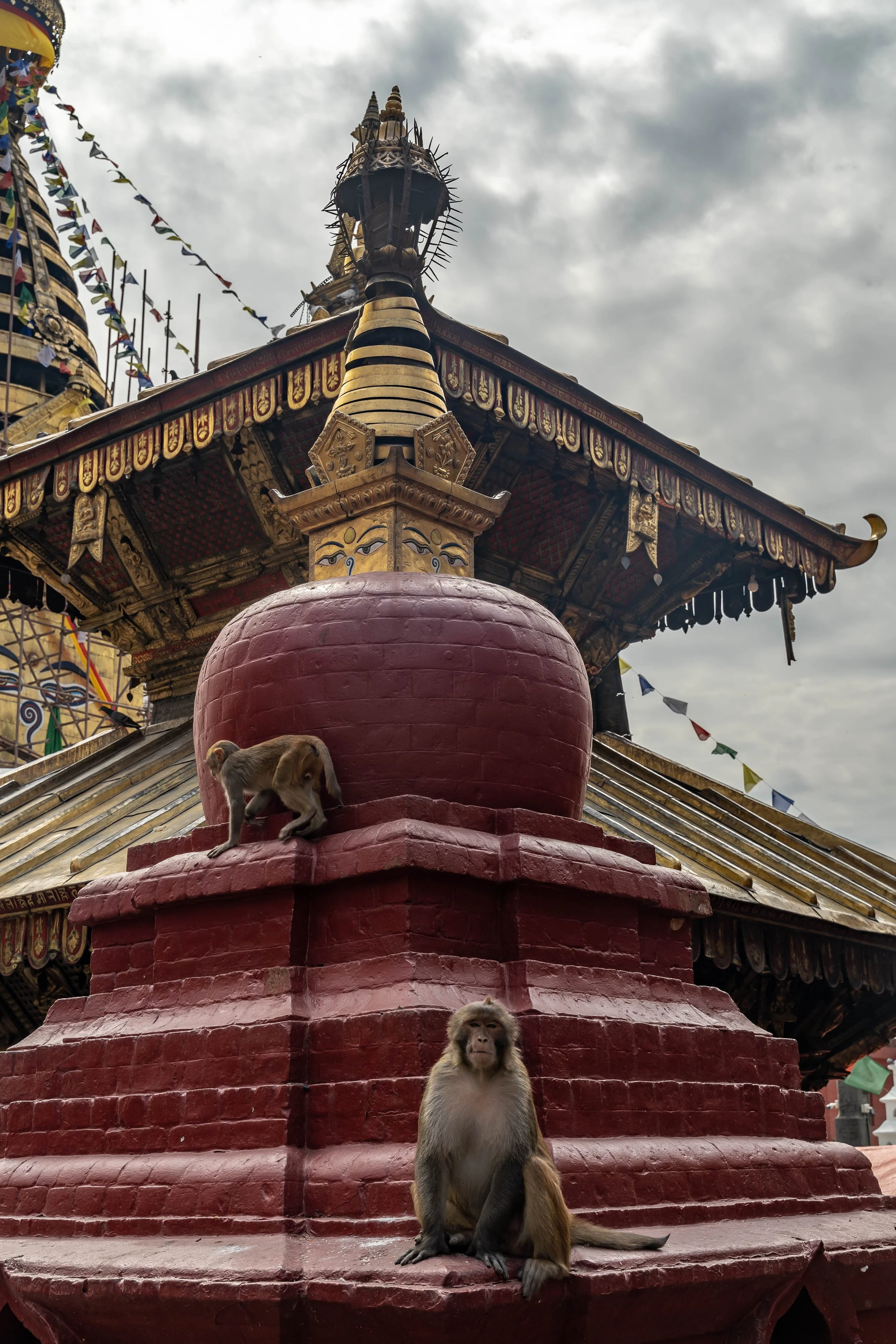 DSC07342-1.jpg