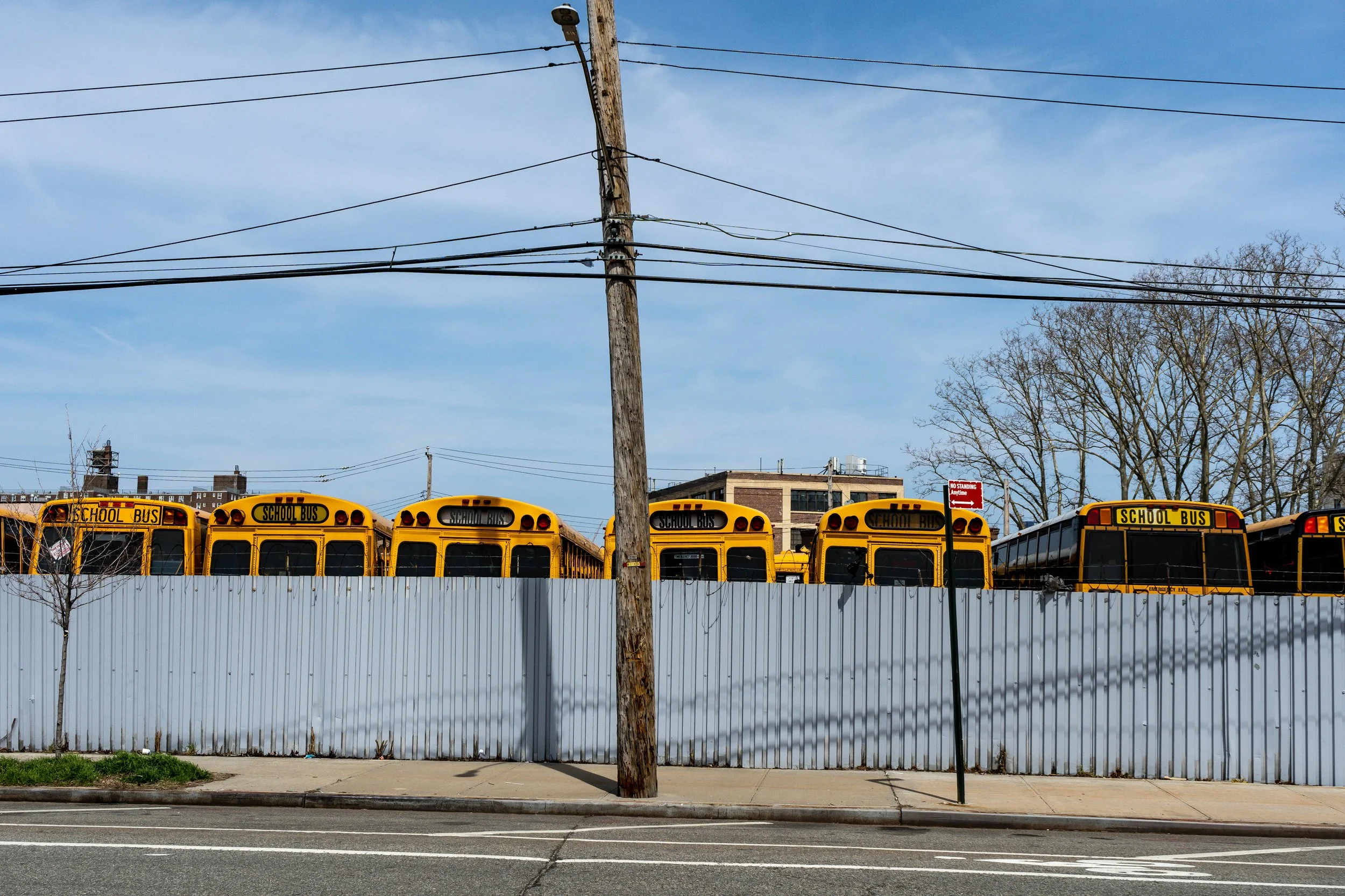 2019 City colours-10.jpg