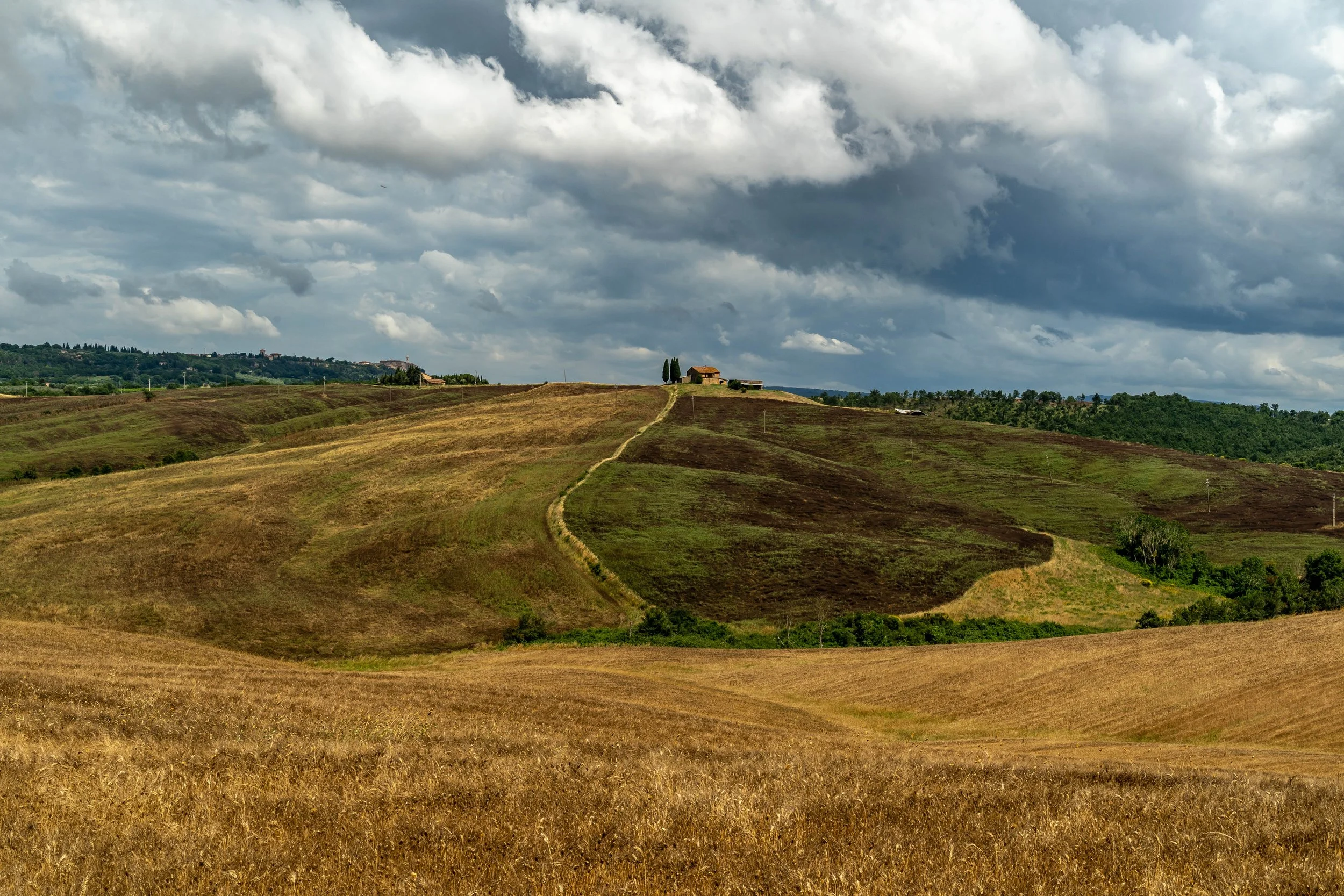 DSC01350-38 Kopie.jpg