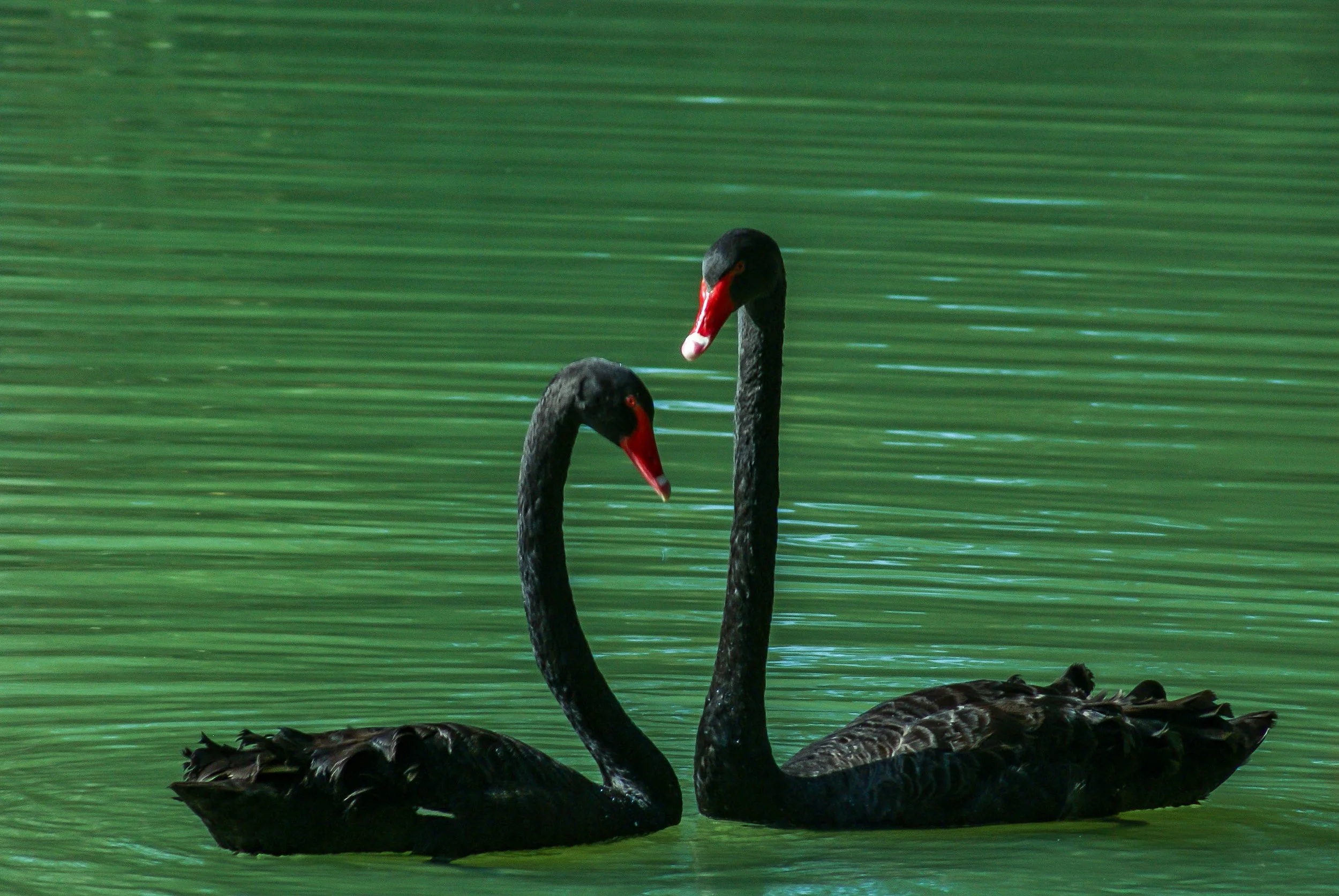 MINAS GERAIS/BRASIL 2011