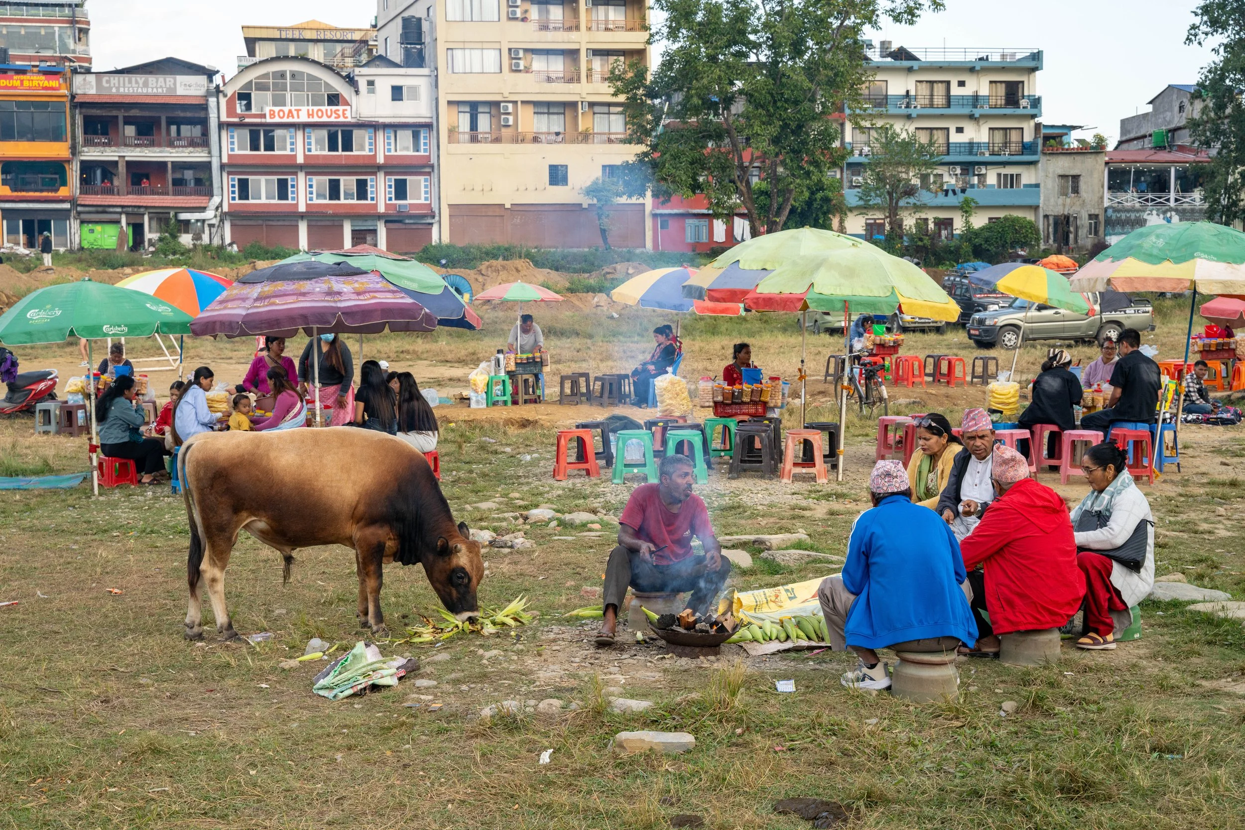 DSC08106 Kopie 2.jpg