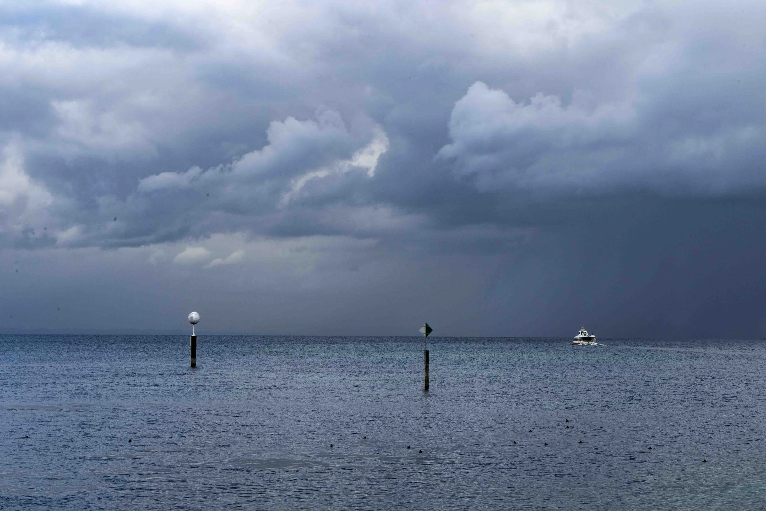 2019 music bnm-2.jpg