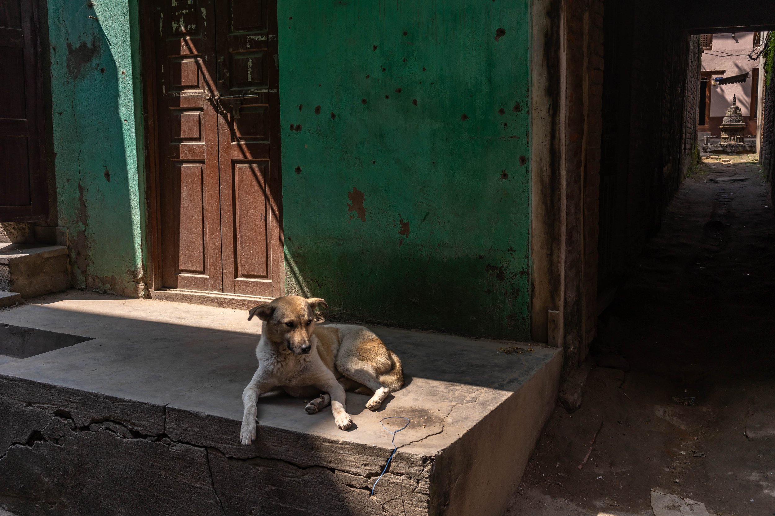 DSC08701-1 Kopie.jpg