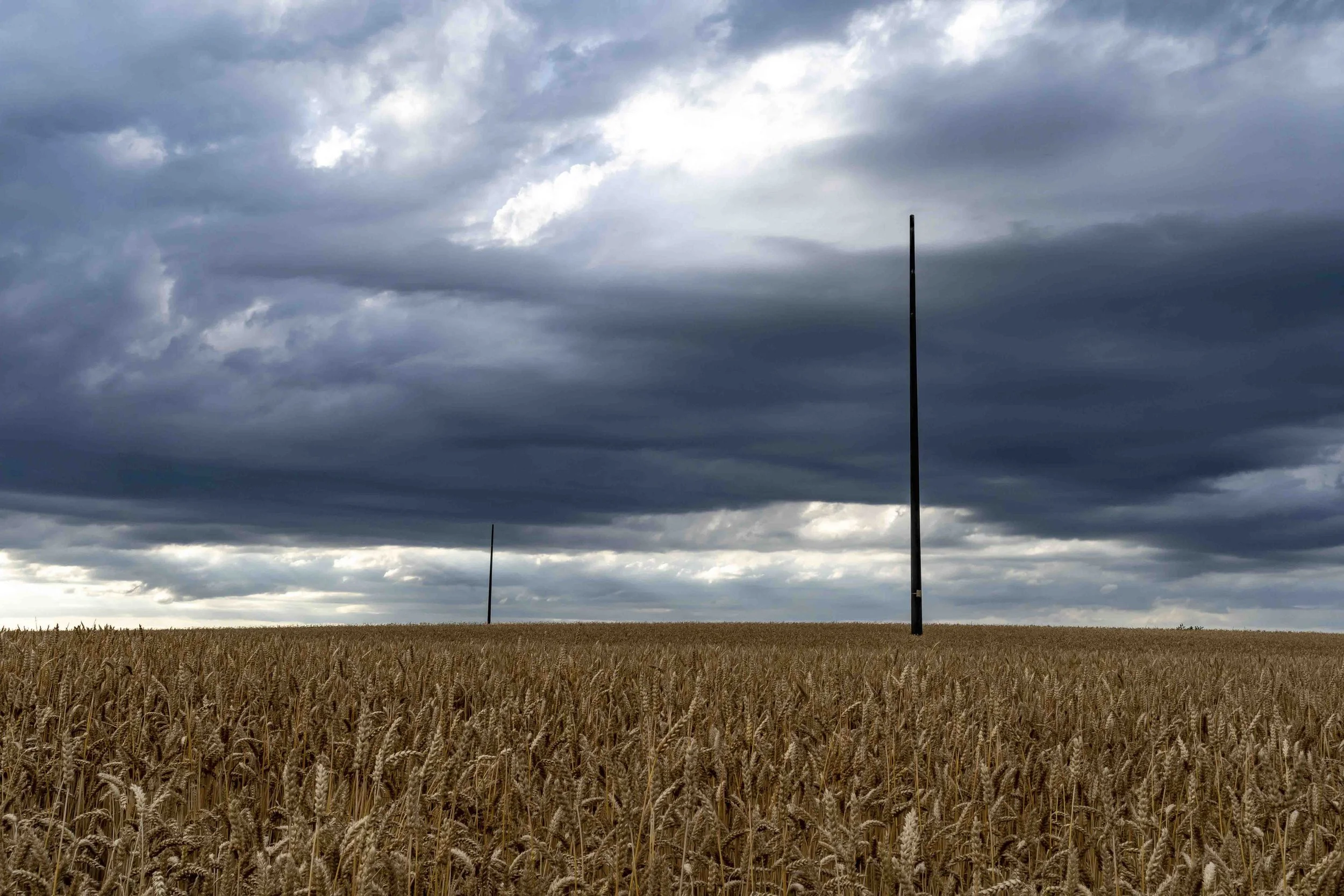 LANZENNEUNFORN TG 2020