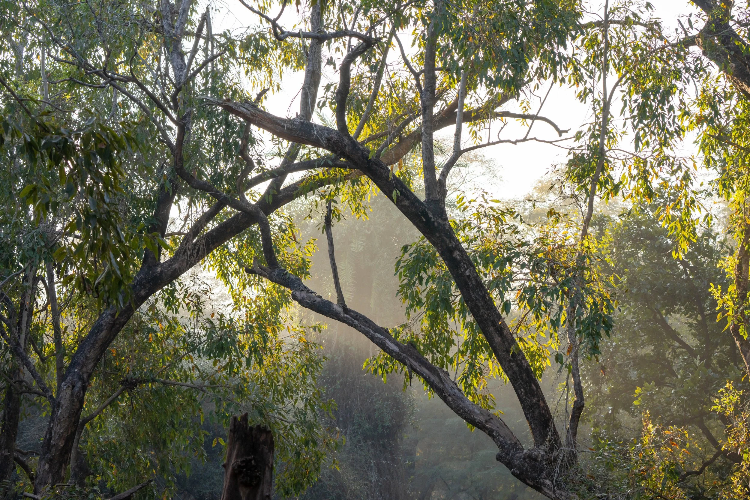 DSC01794 Kopie 2.jpg