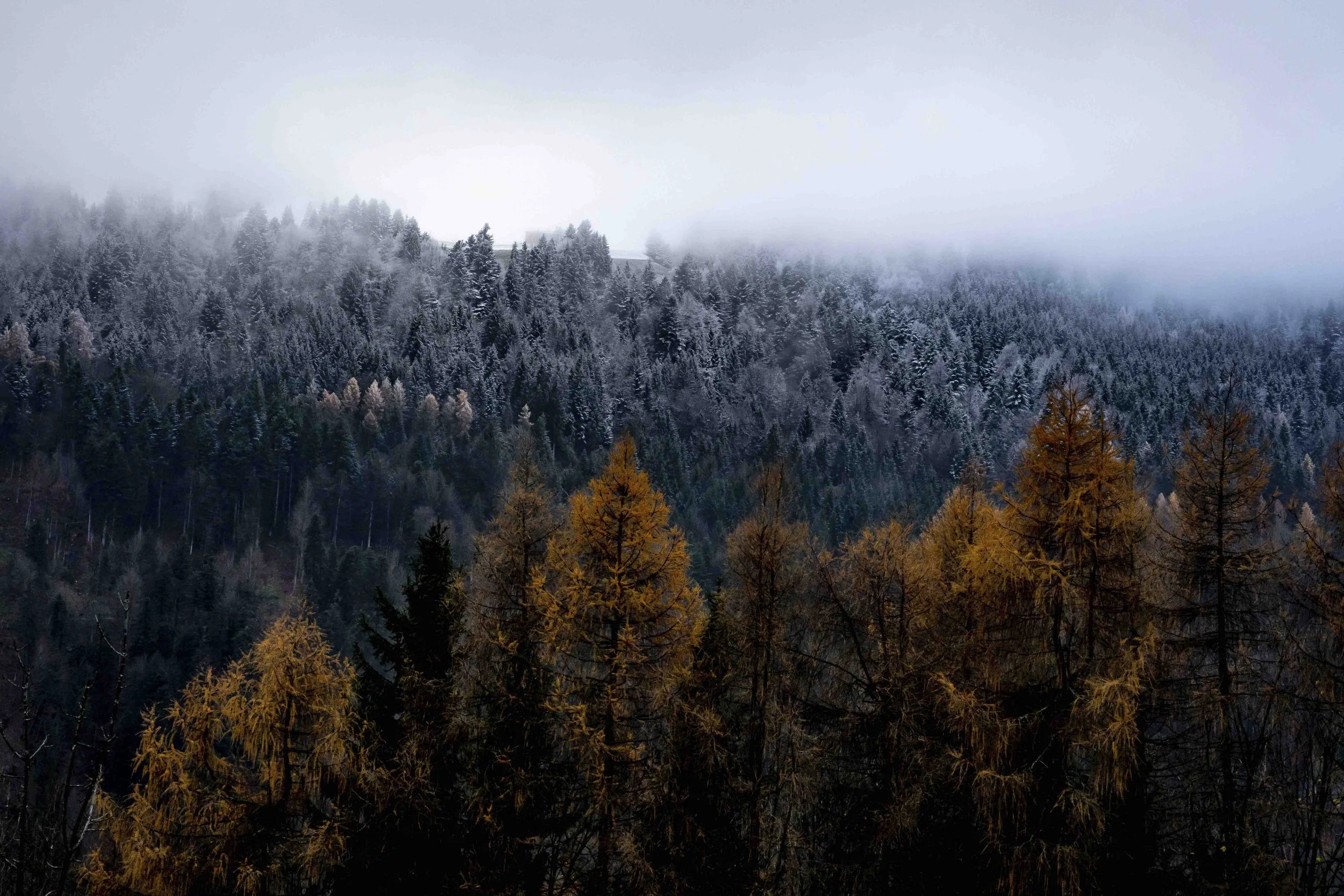 ST.GEROLD AUSTRIA 2019