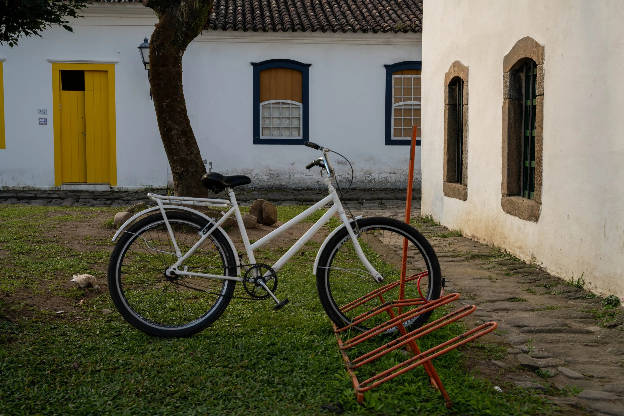 DSC04965-2.jpg