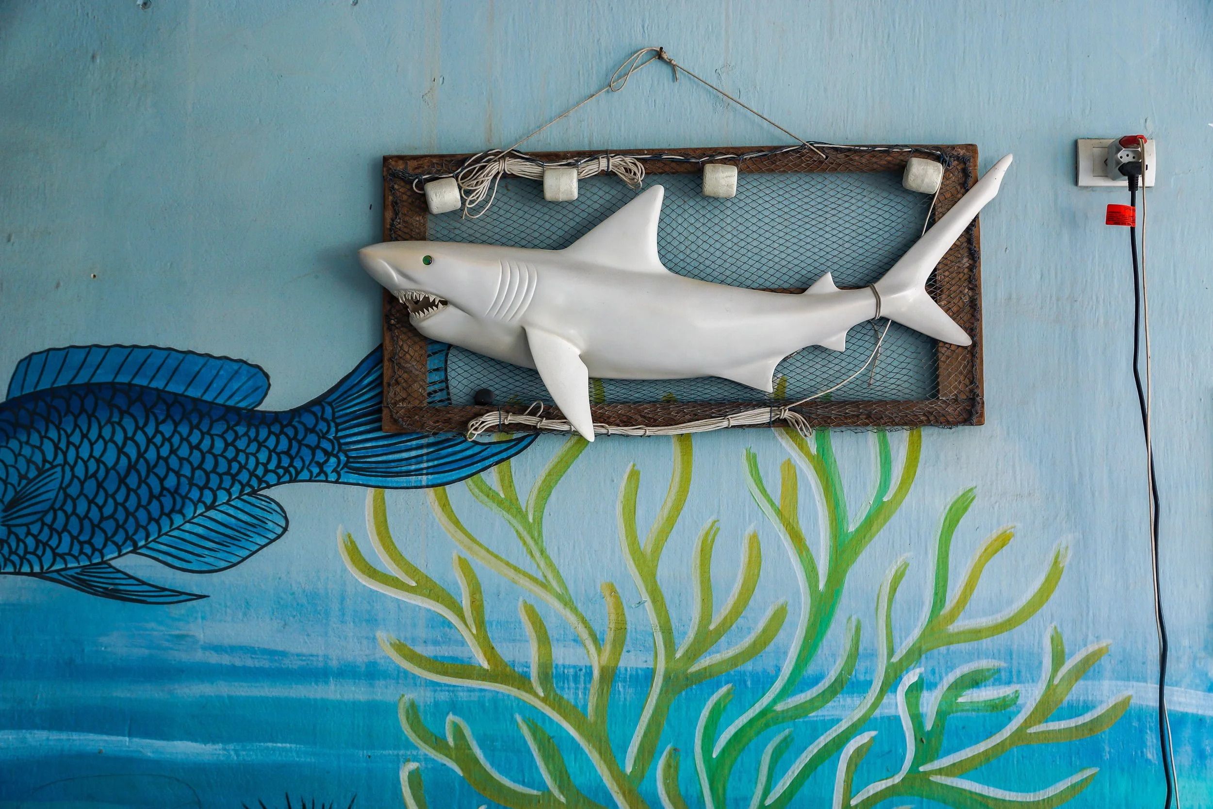 PORTO DE GALINHAS/BRASIL 2017