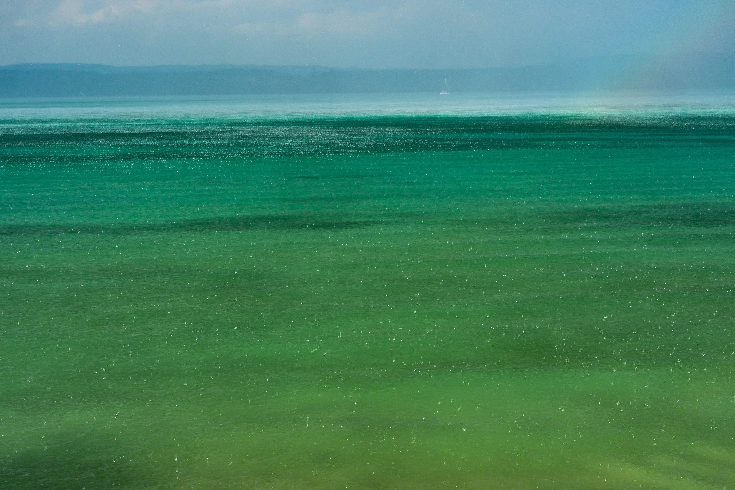 greenlake Kopie-1.jpg