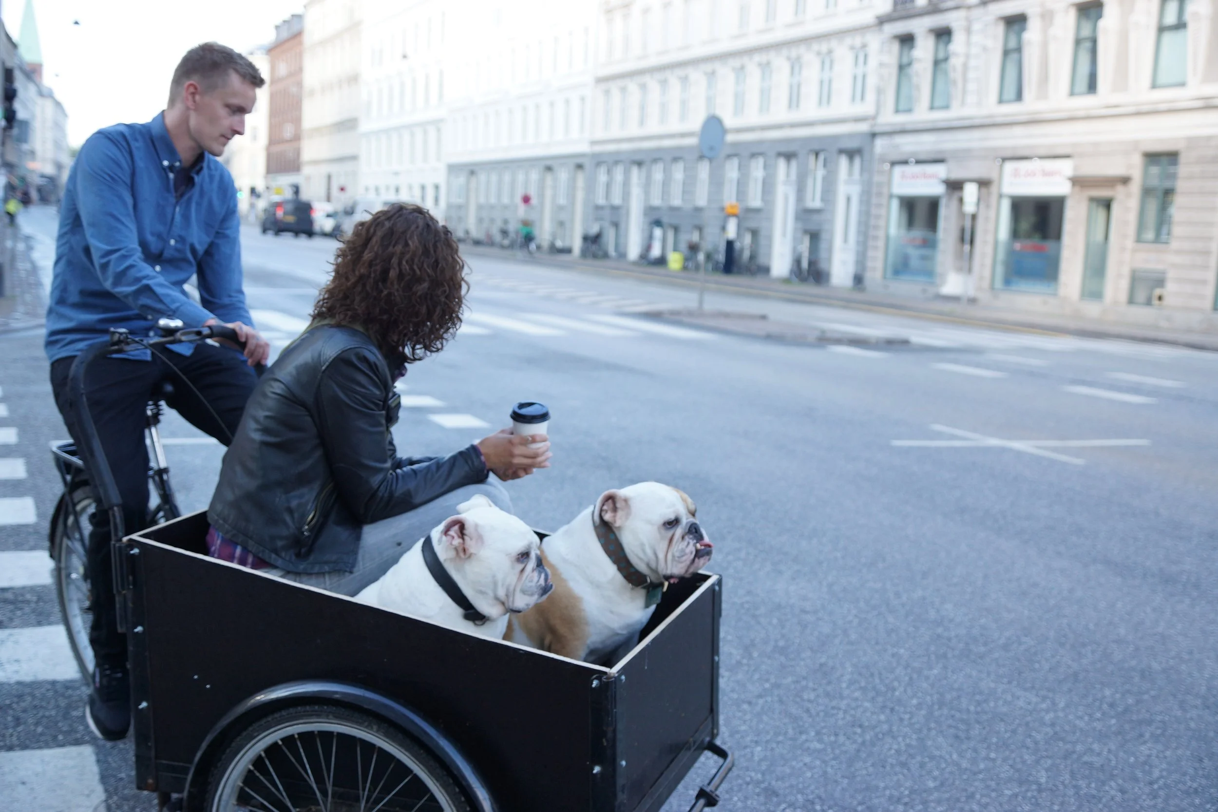 KOPENHAGEN/DENMARK 2015