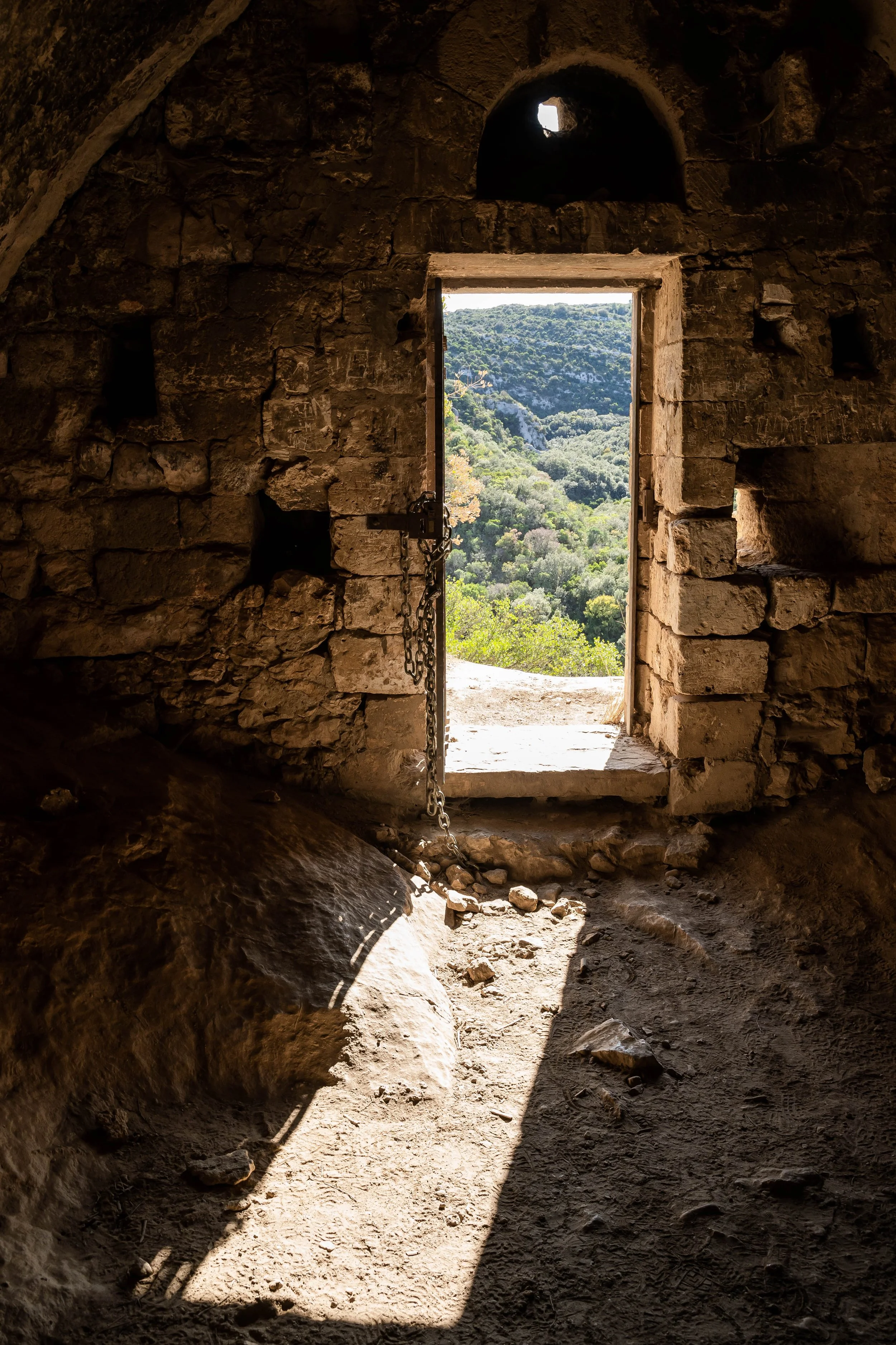 2019 Light colour-08.jpg