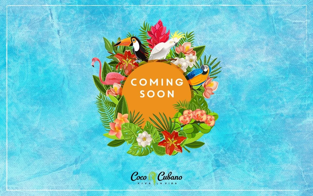 WhatsApp Image 2019-11-05 at 8.23.17 PM.jpeg