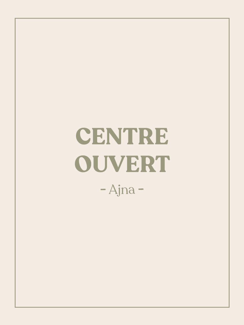 VIGNETTE-SITE-CENTRE-OUVERT-AJNA.jpg