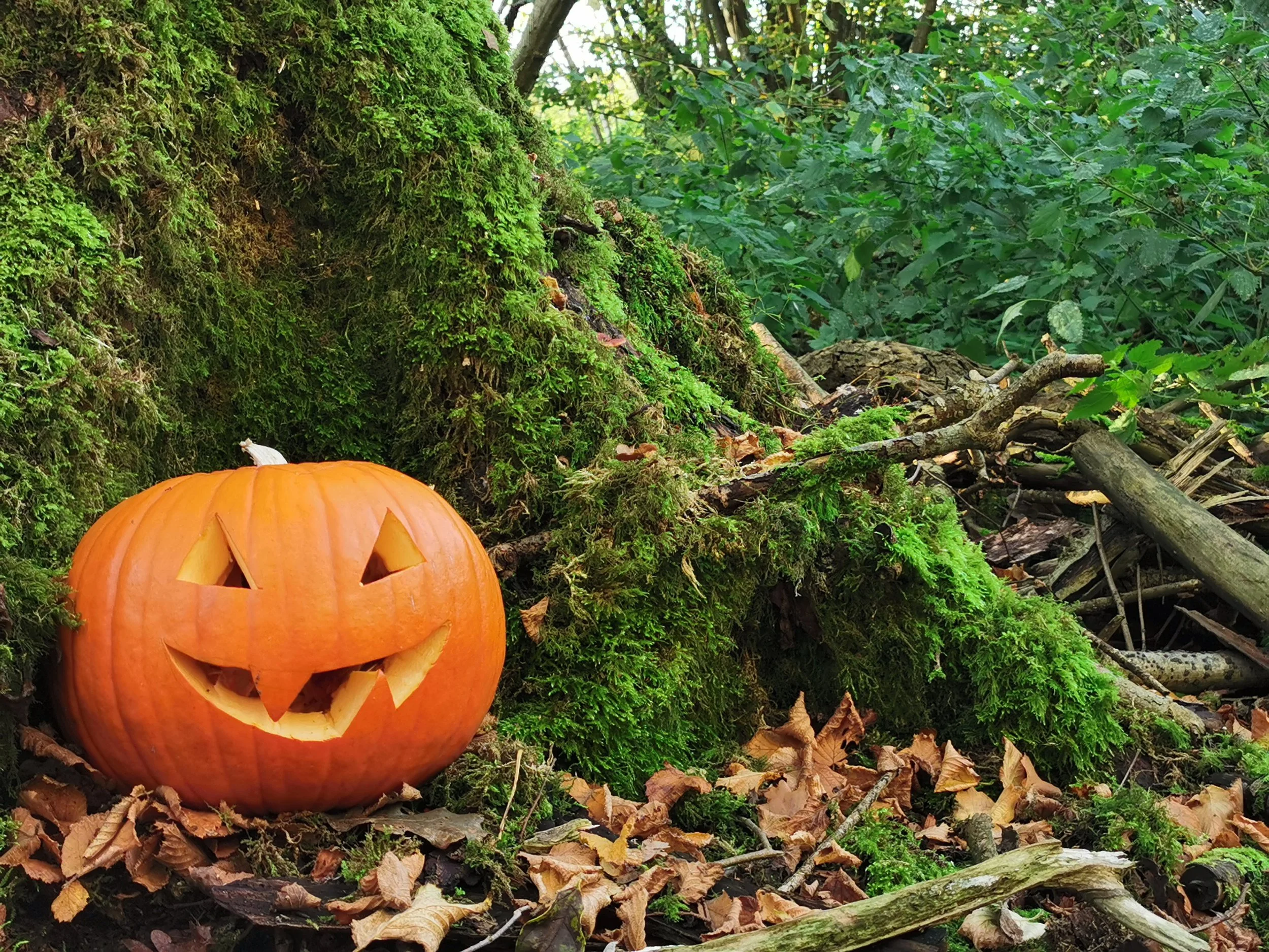 Join us for a Spooky Halloween