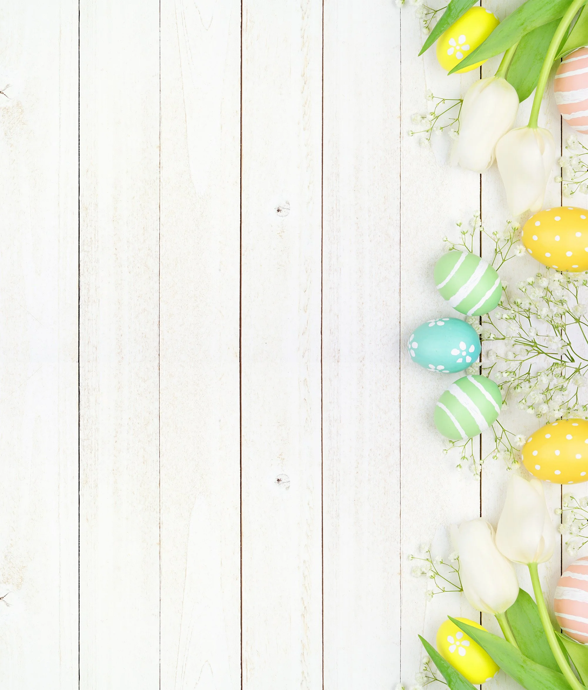 Spring background.jpg