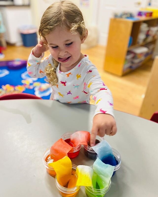 Super Scientist week at summer camp! 
Walking rainbow experiment: kids learned about color mixing, primary and secondary colors. 
Water xylophone sound science experiment: Kids had fun creating their own tunes. They learned that the more water there 