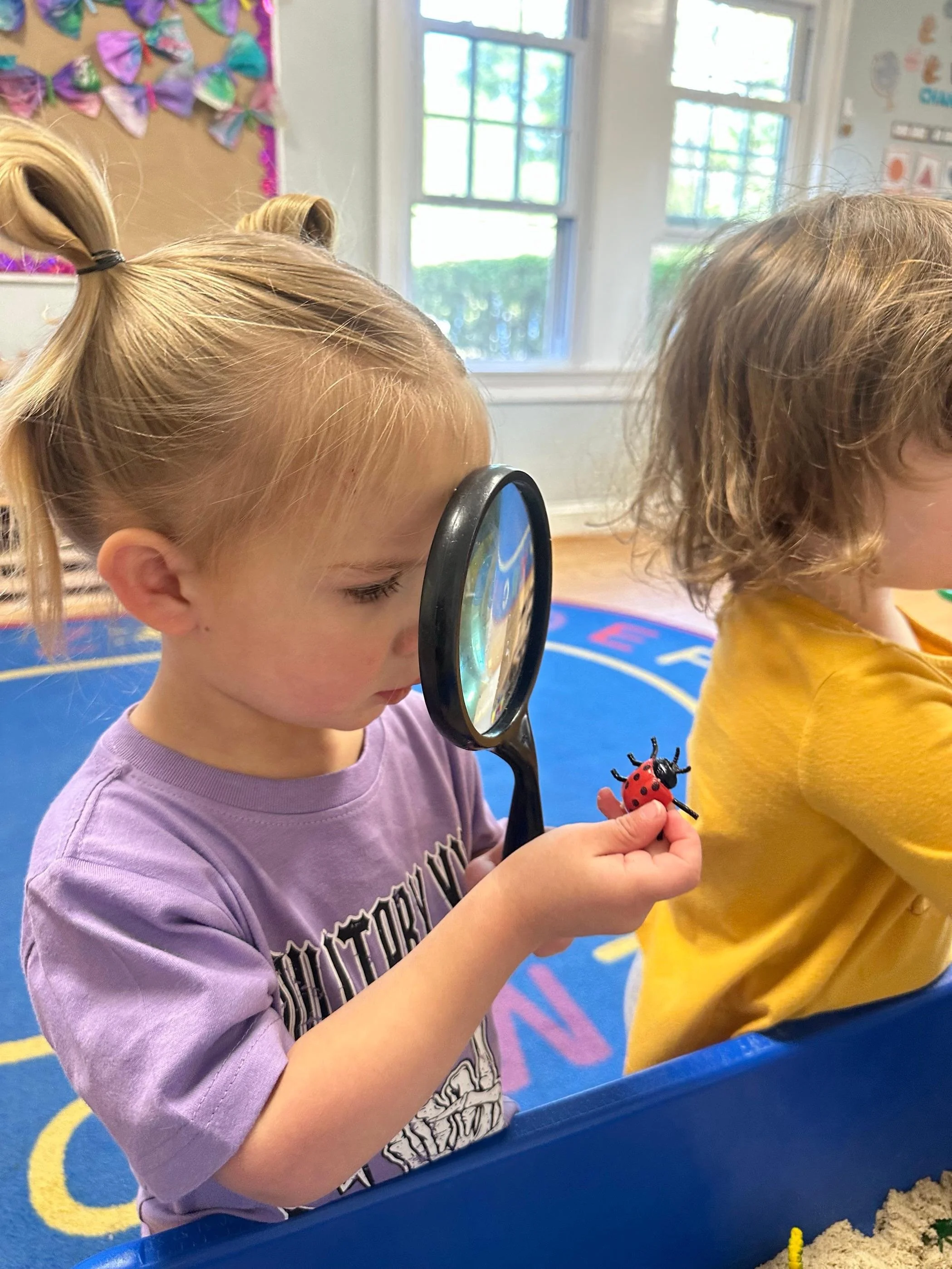 A New Year, New Adventures: Welcome to 2025/2026!