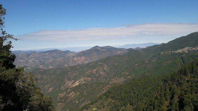 Mexican hills covered in coffee plantations