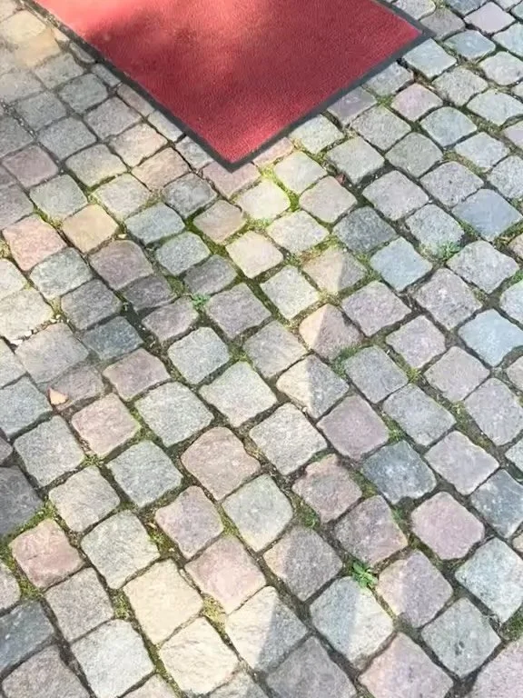 🎅✨ Dagens jullucka &ndash; Lucka 8! ✨🎅

I dag har vi ett riktigt bra erbjudande p&aring; Beurer Ansiktsborste FC45!

Ta din hudv&aring;rdsrutin till n&auml;sta niv&aring; med denna smidiga, batteridrivna ansiktsborste som effektivt reng&ouml;r hude