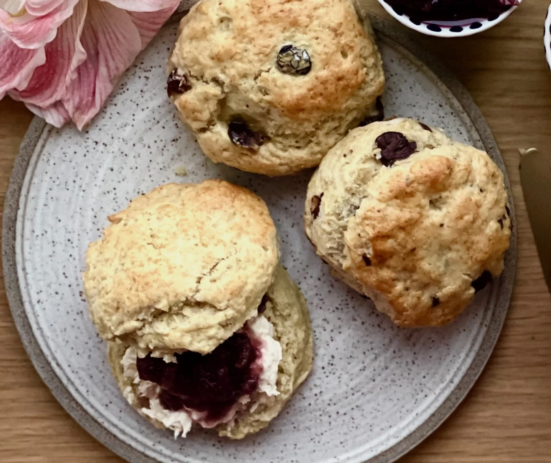Scones plain