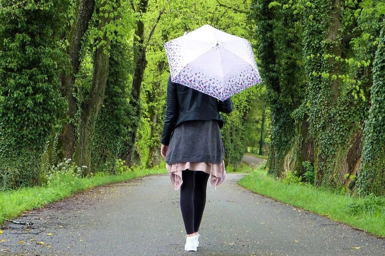 Image by Silvia Rita from Pixabay