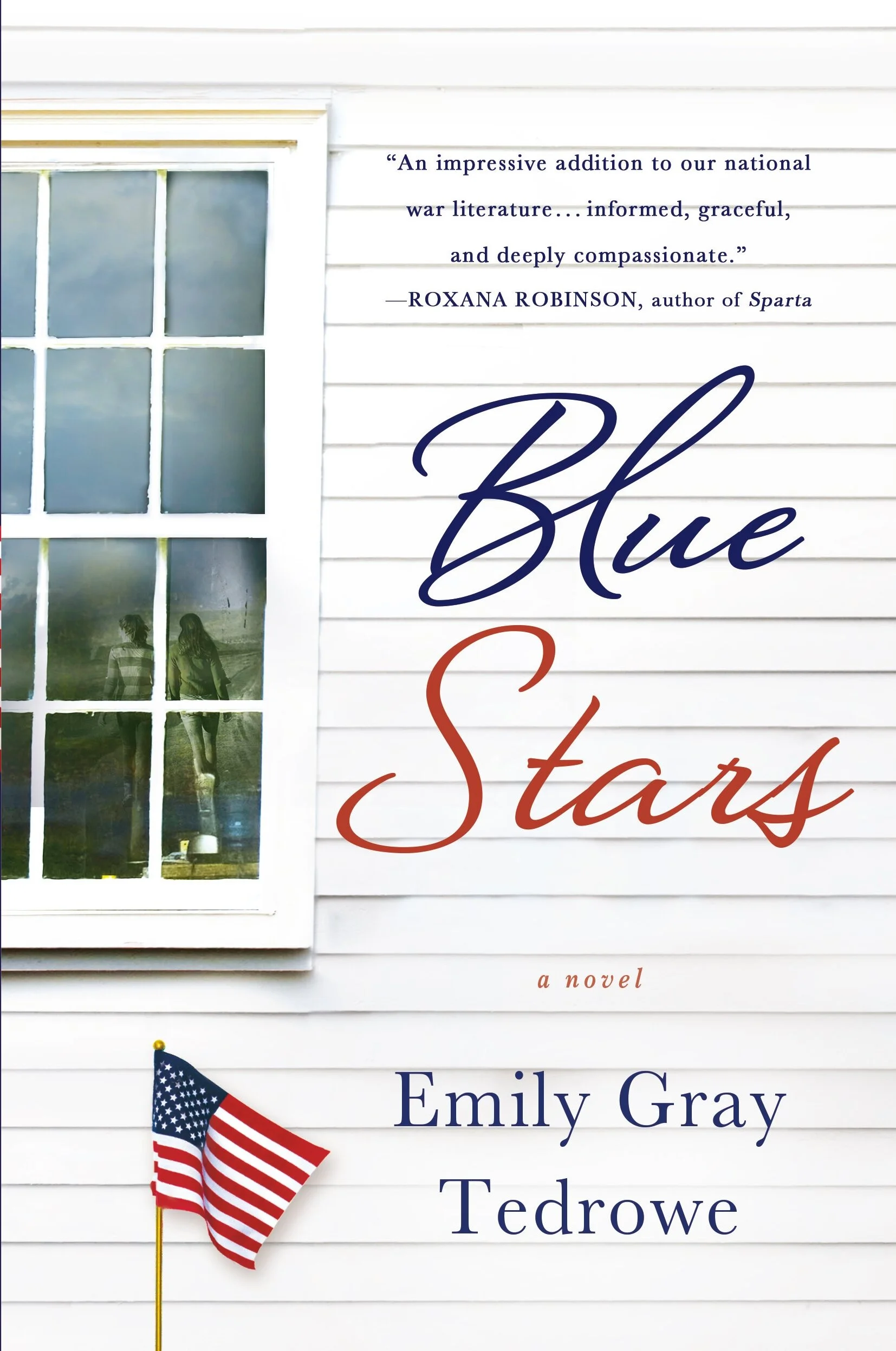 Blue Stars pb cover copy.jpg