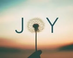 Finding joy and hidden treasures during a "stay at home" order