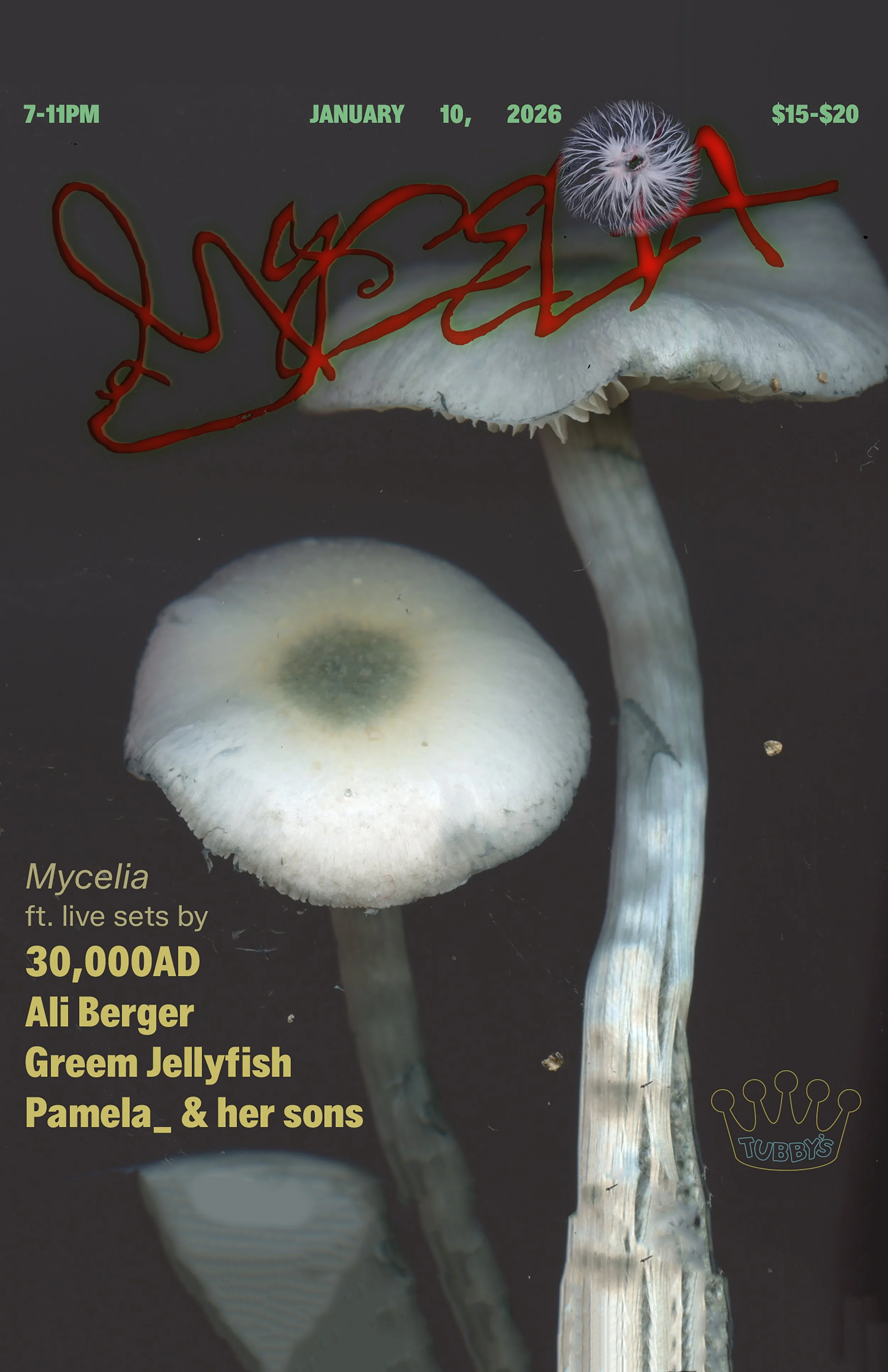 30,000AD + ALI BERGER + GREEM JELLYFISH + PAMELA_ AND HER SONS