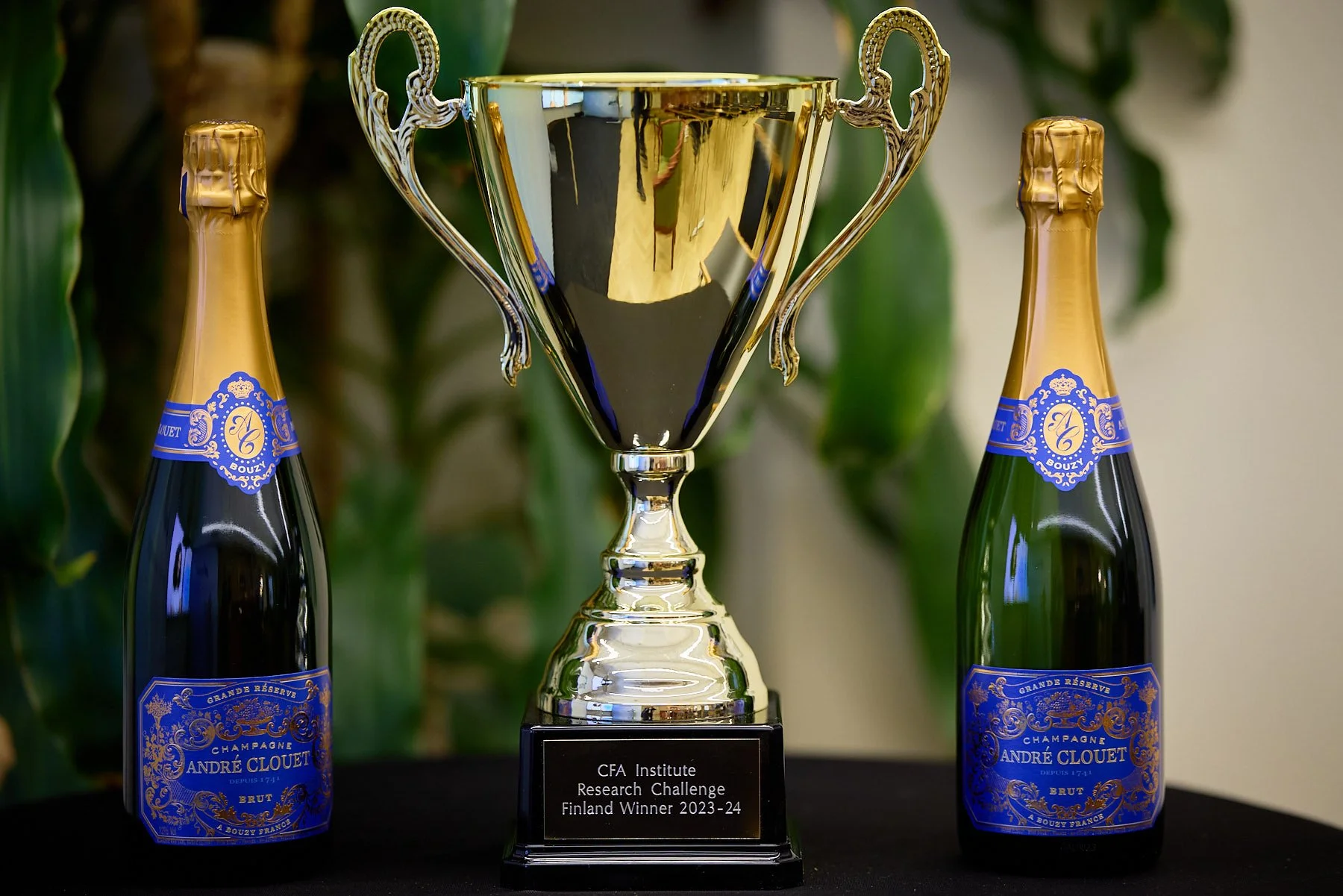 Local Research Challenge 2024 winner: University of Turku