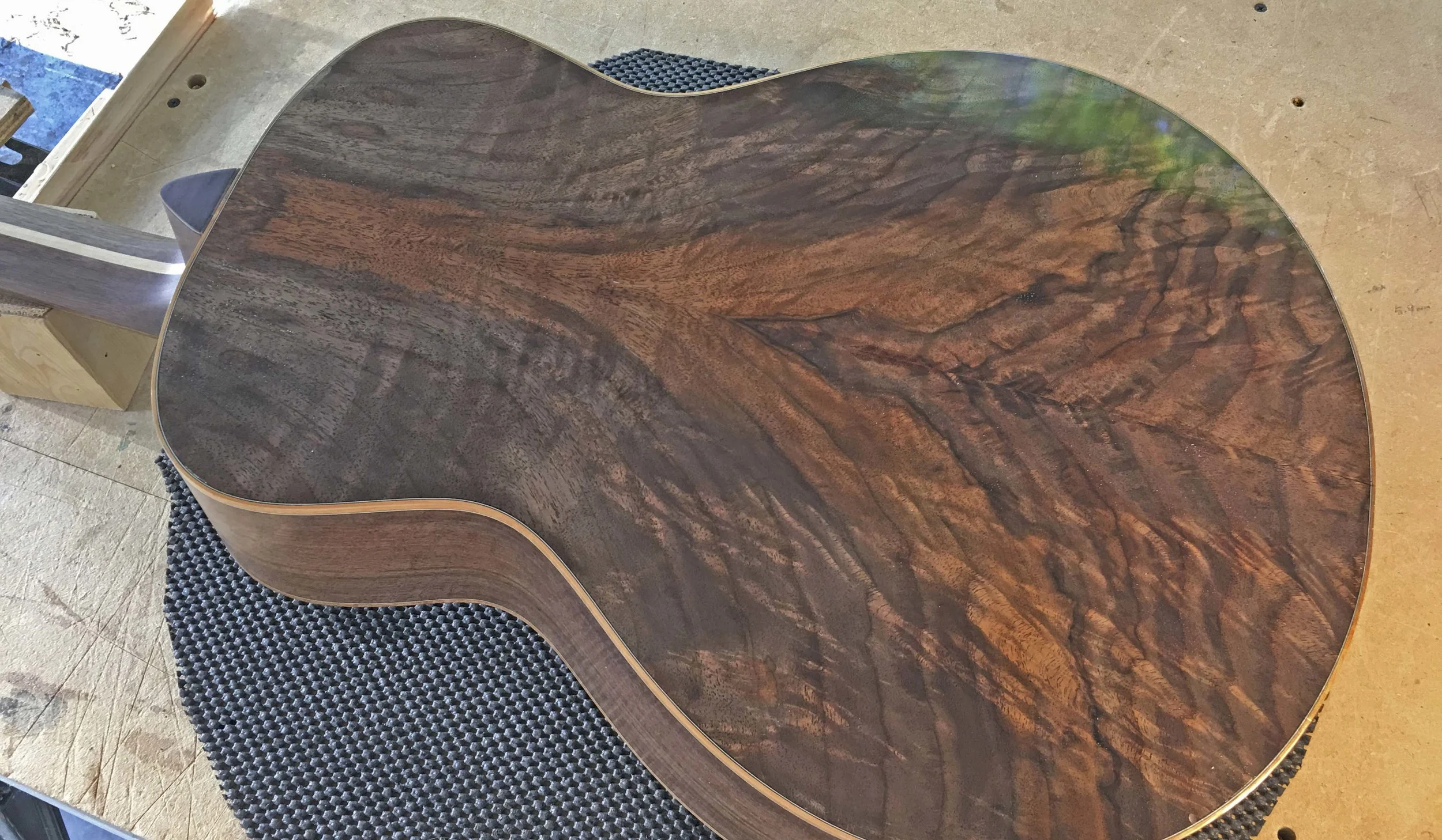 The Spring Redwood Collection