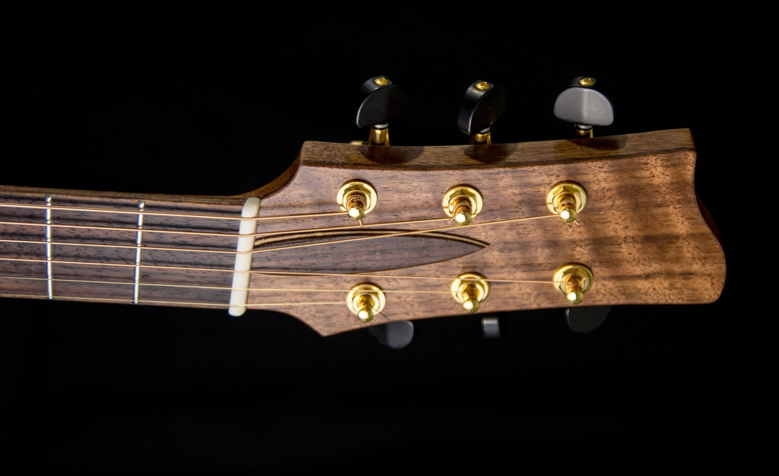 hight-headstock_D715486