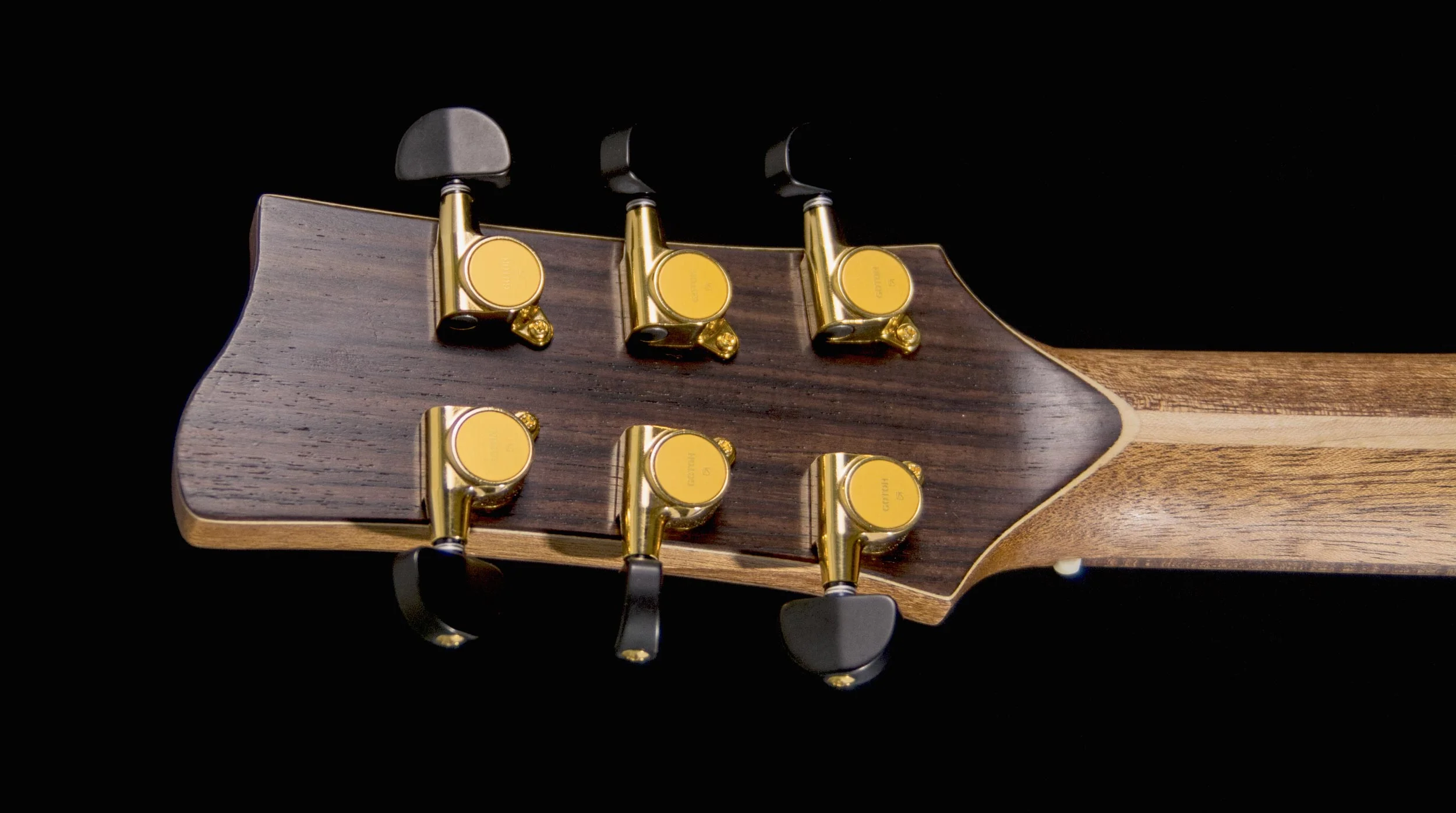 hight-headstock_D715498