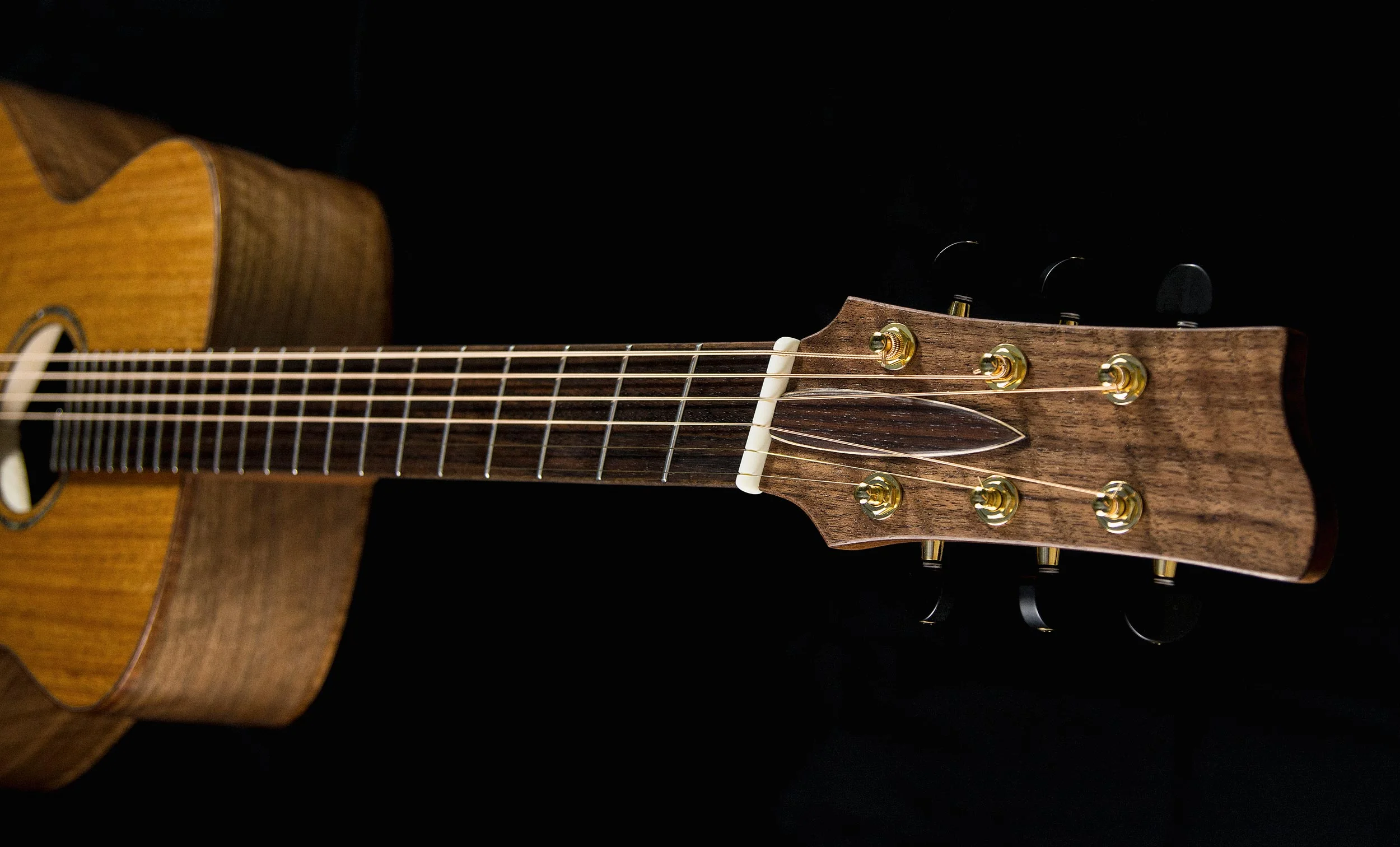 hight-headstock_D715550