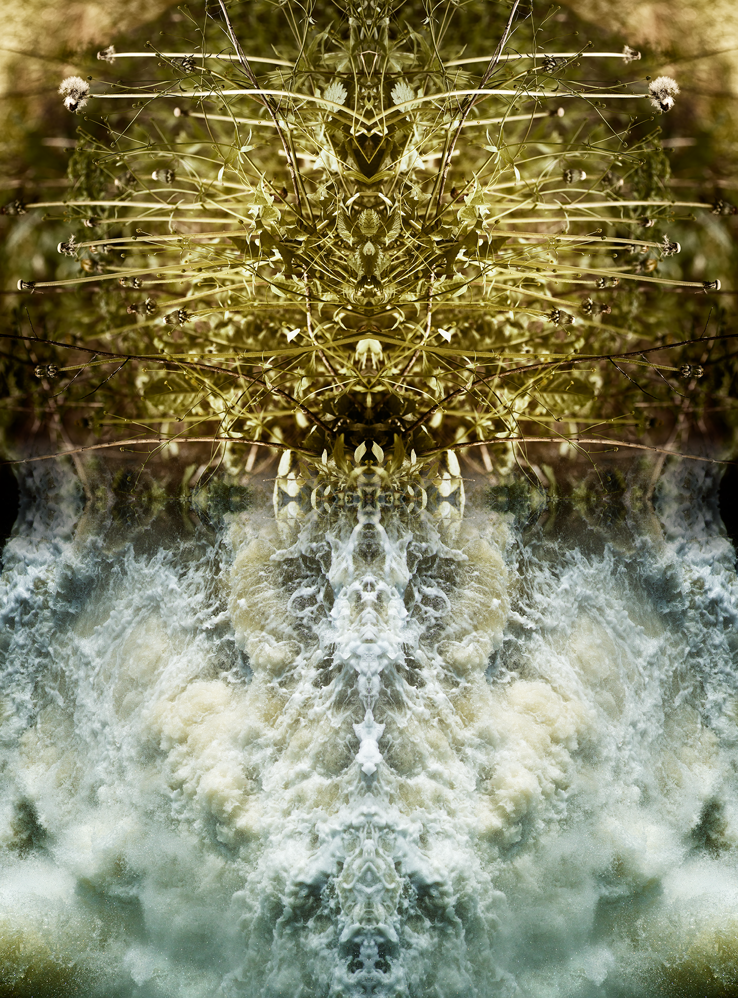 Transfiguration