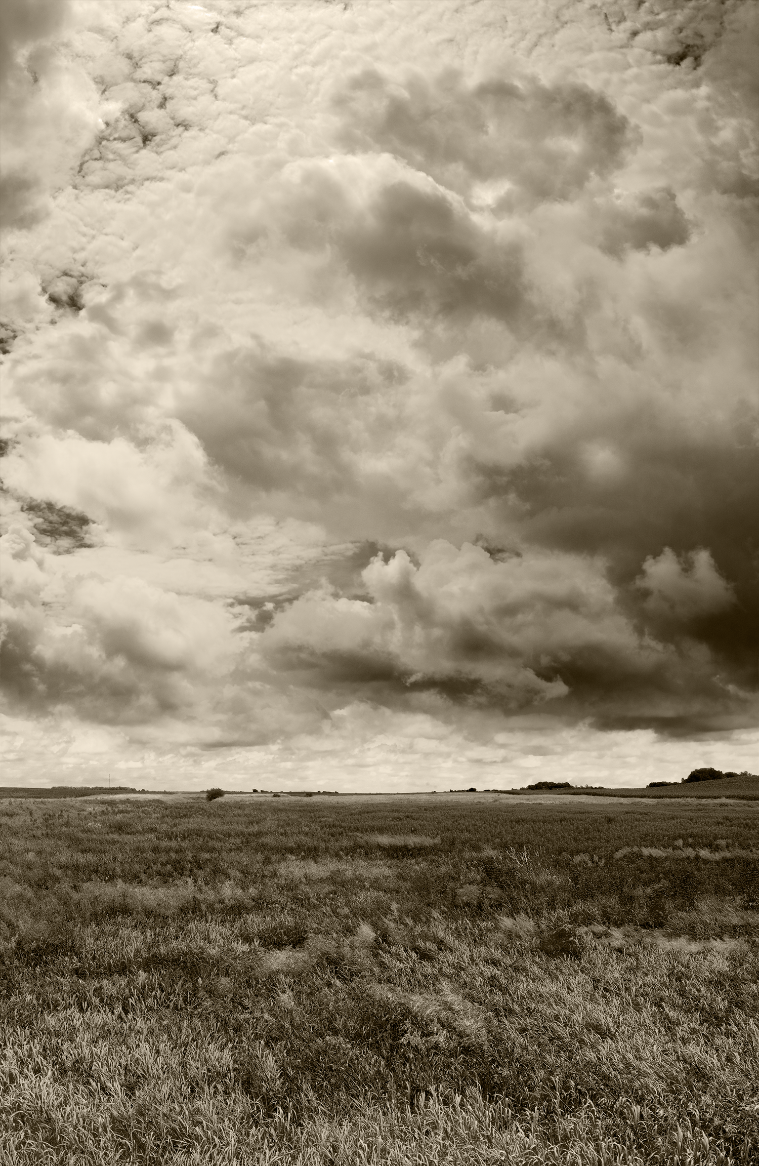 Field and Sky 0241