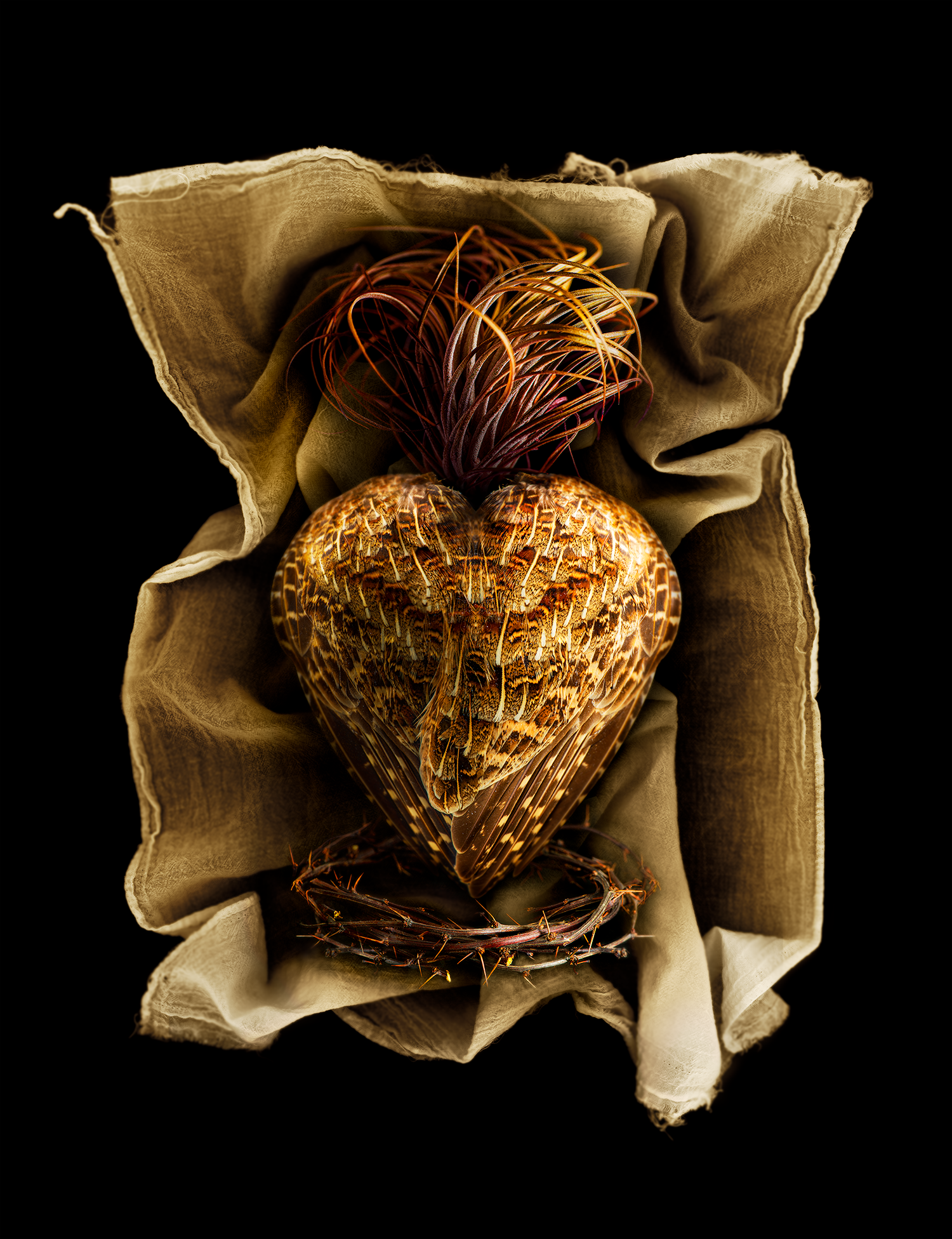 Shrouded Sacred Heart