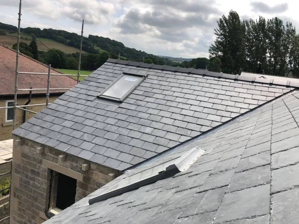 new build sky light windows .jpg