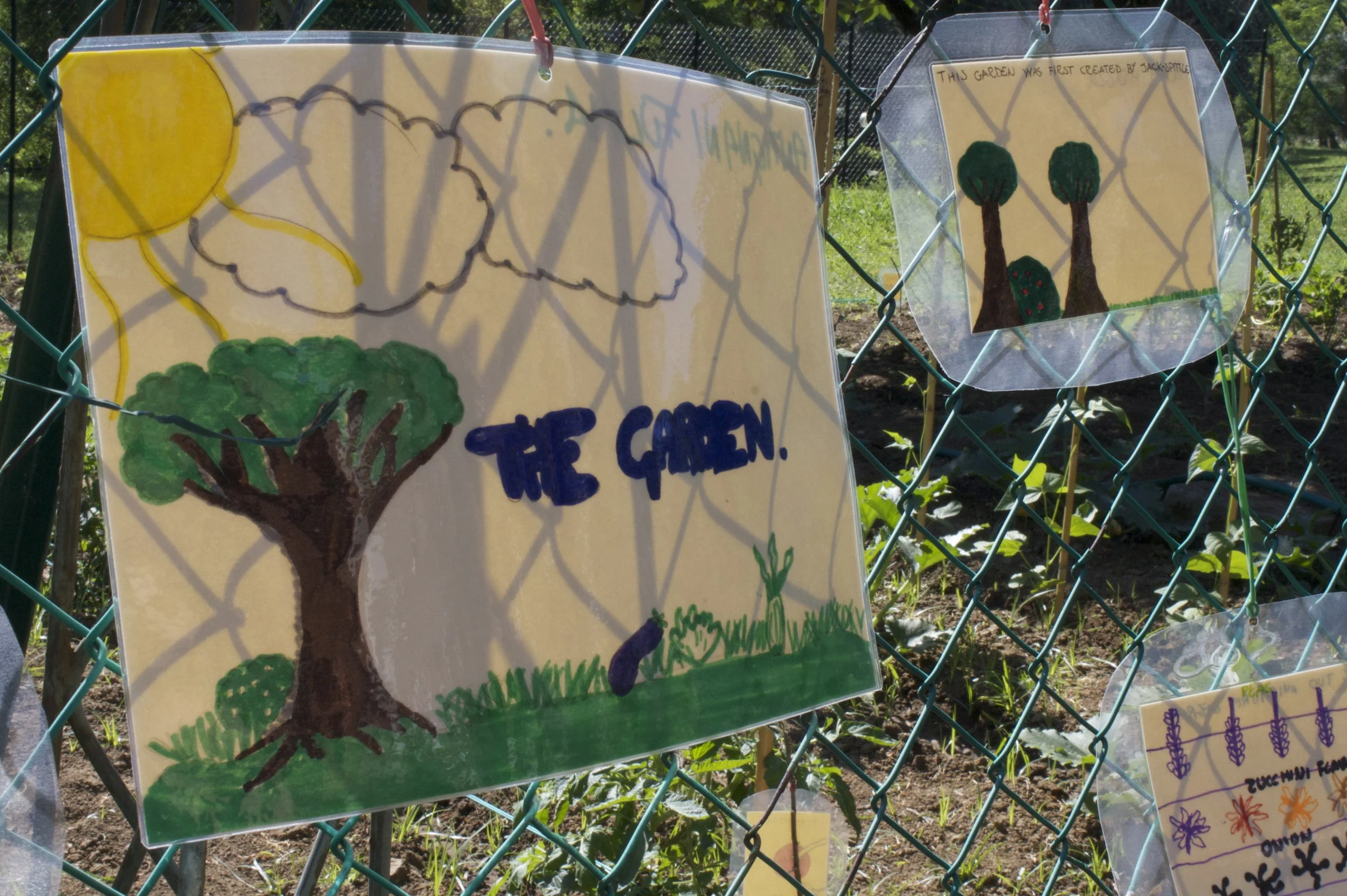 Exciting Programs at the Schools